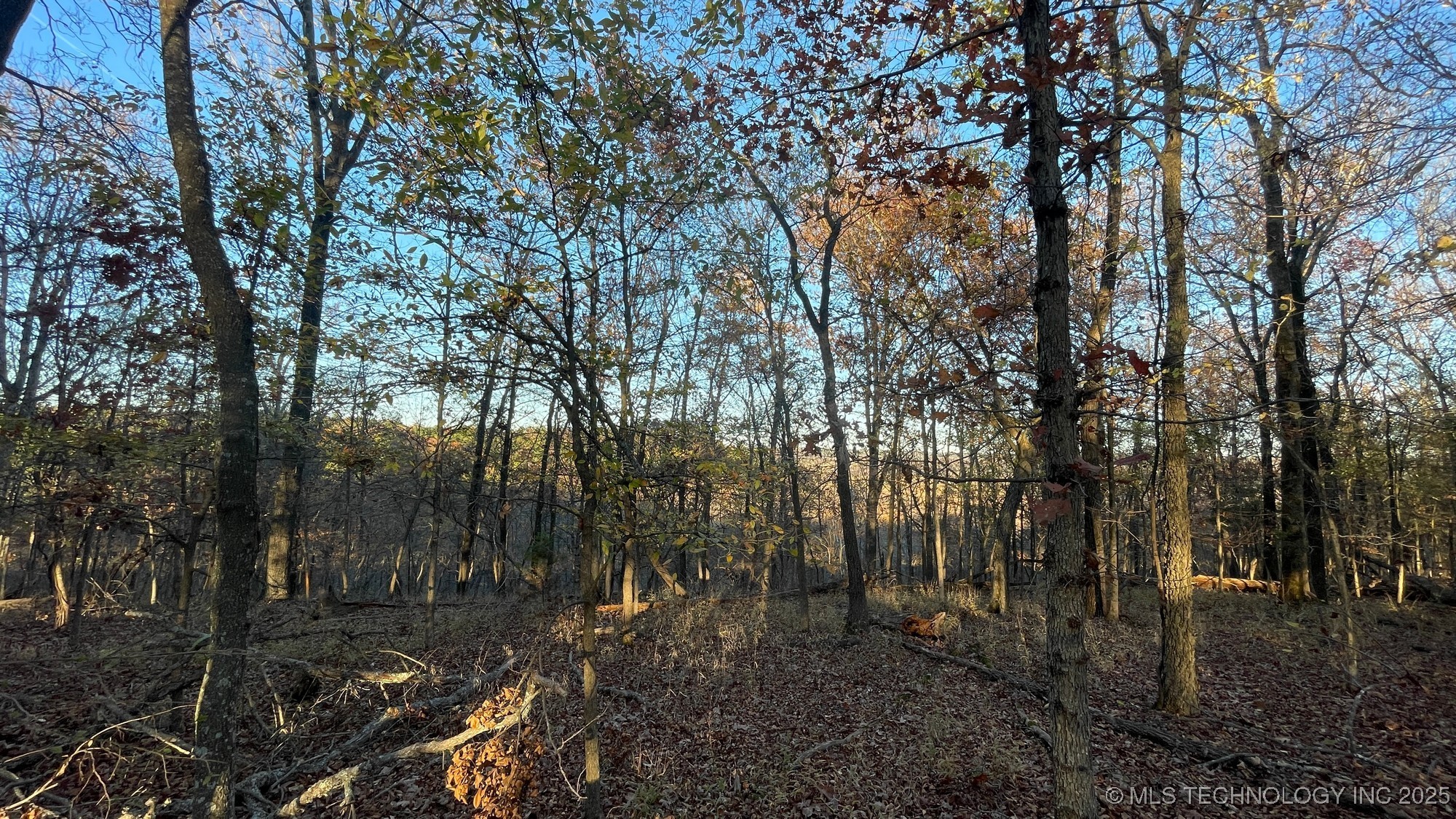 1471 Birchbark Drive Property Photo 8