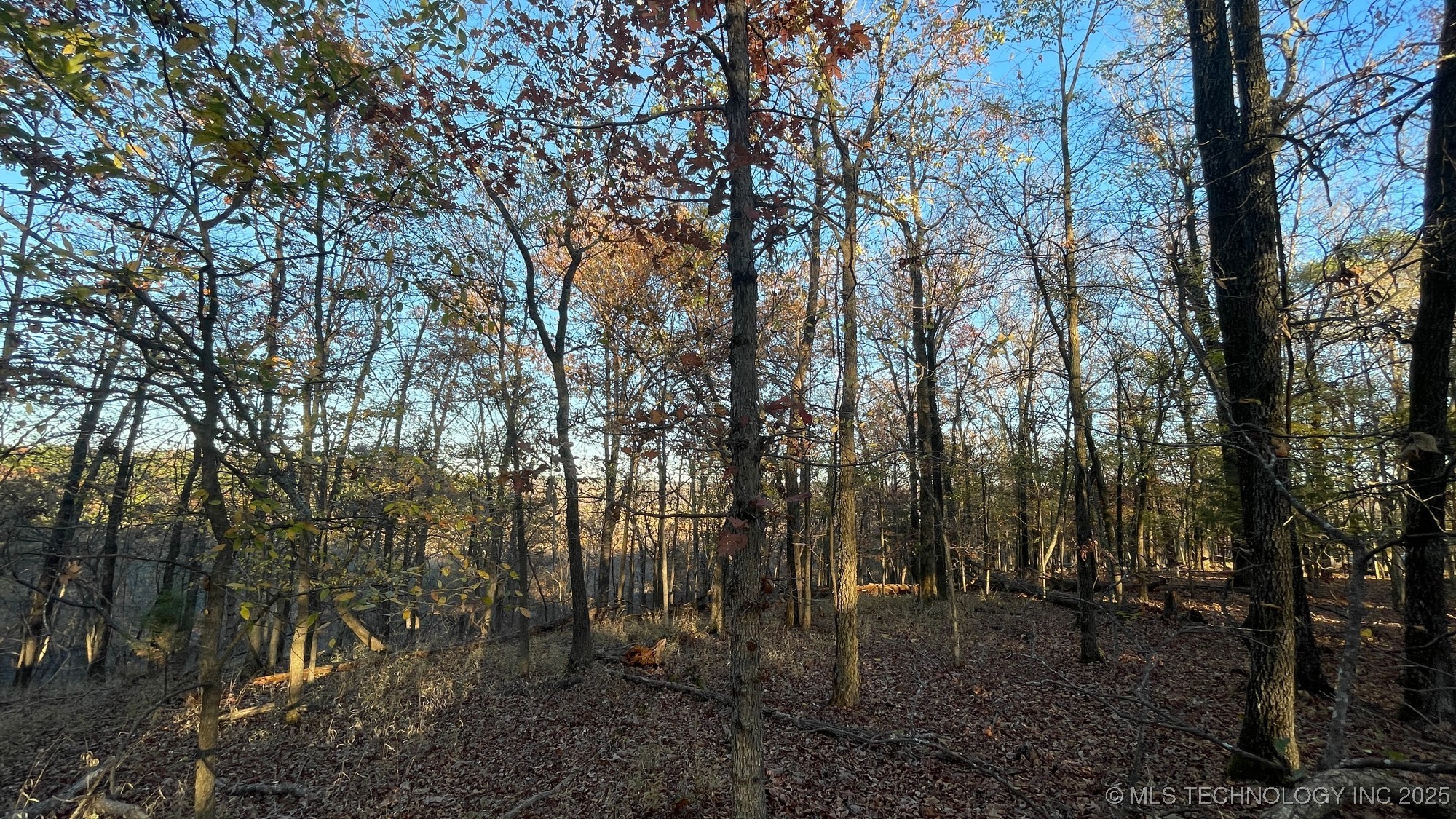 1471 Birchbark Drive Property Photo 9