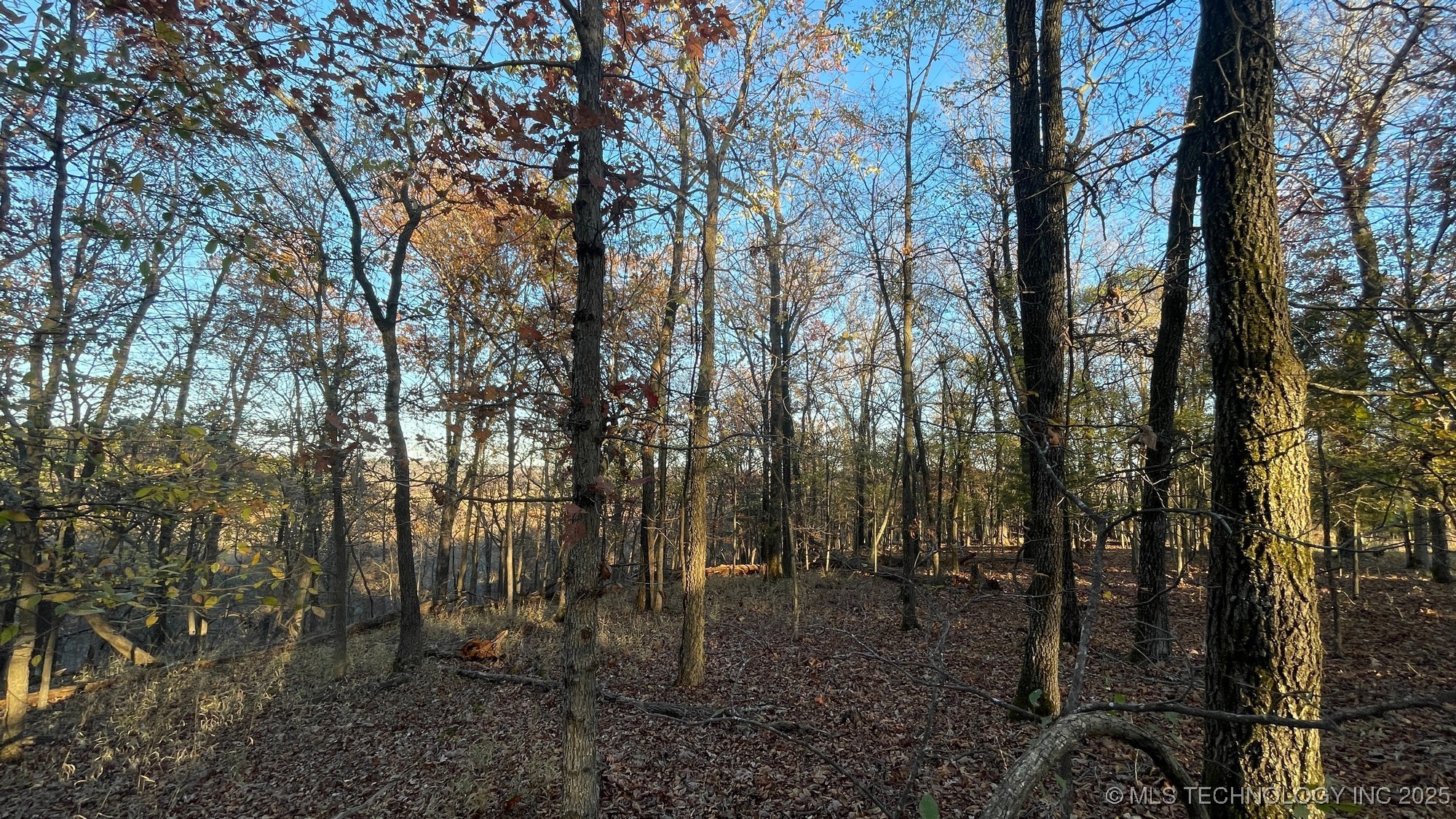 1471 Birchbark Drive Property Photo 10