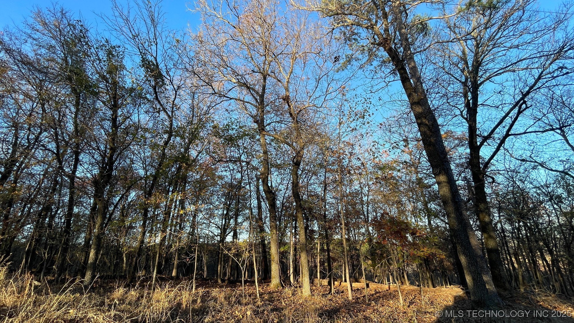 1471 Birchbark Drive Property Photo 11