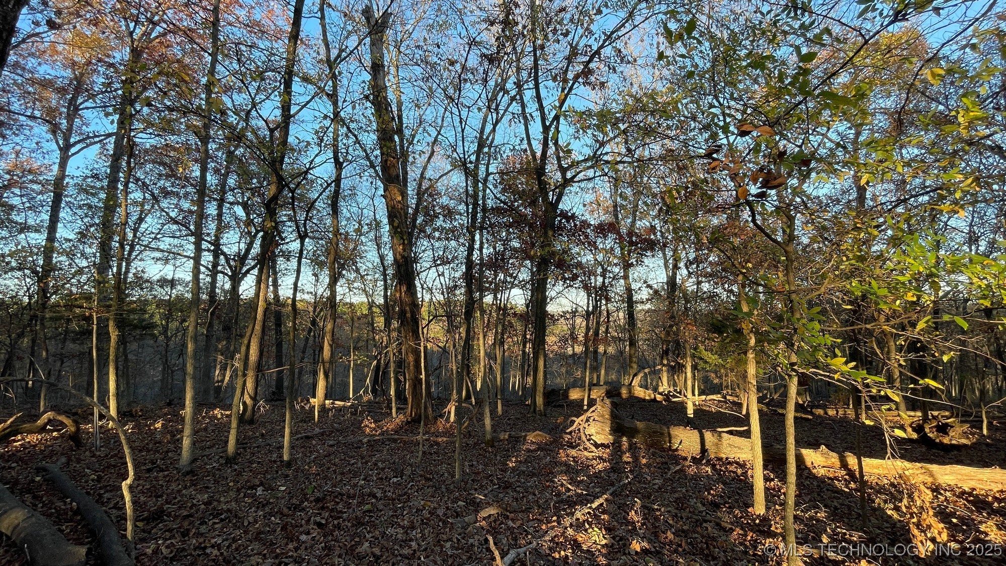 1471 Birchbark Drive Property Photo 12