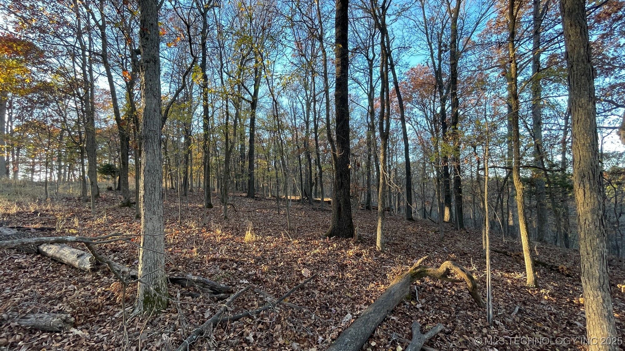 1471 Birchbark Drive Property Photo 13