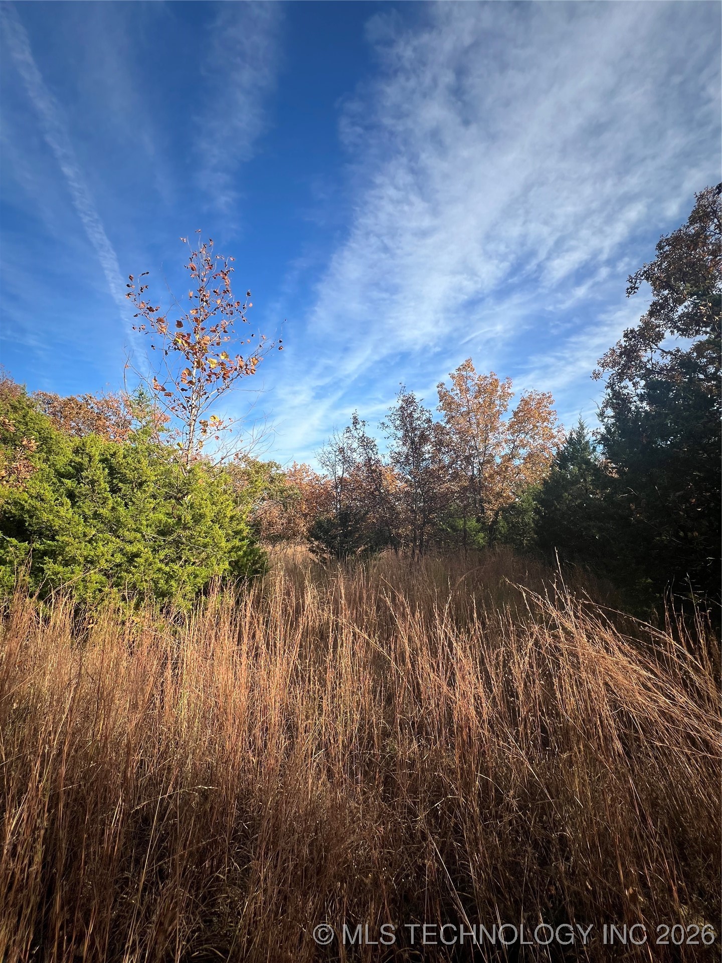 0029 Ruisdael Road Property Photo 5