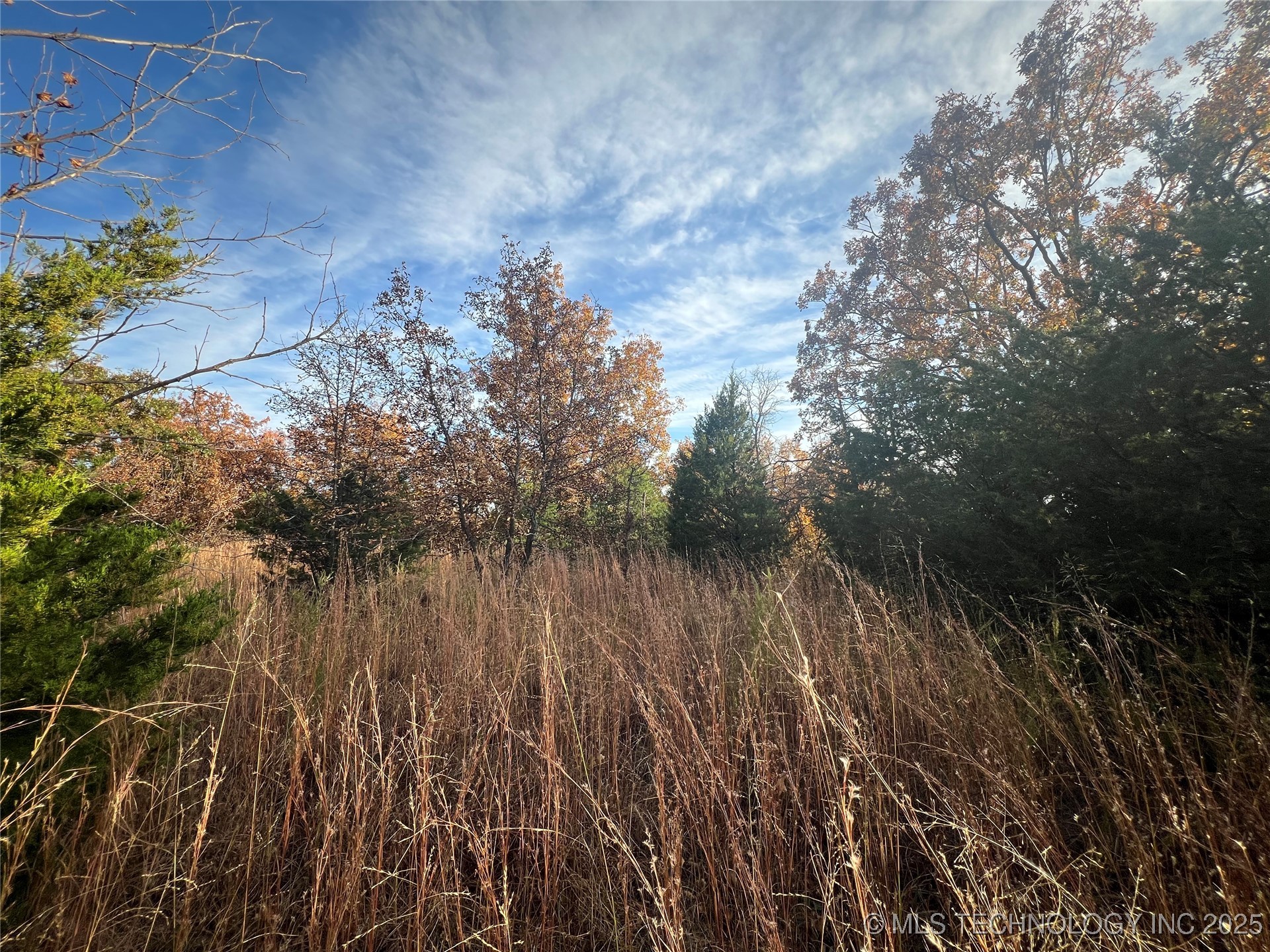0029 Ruisdael Road Property Photo 7
