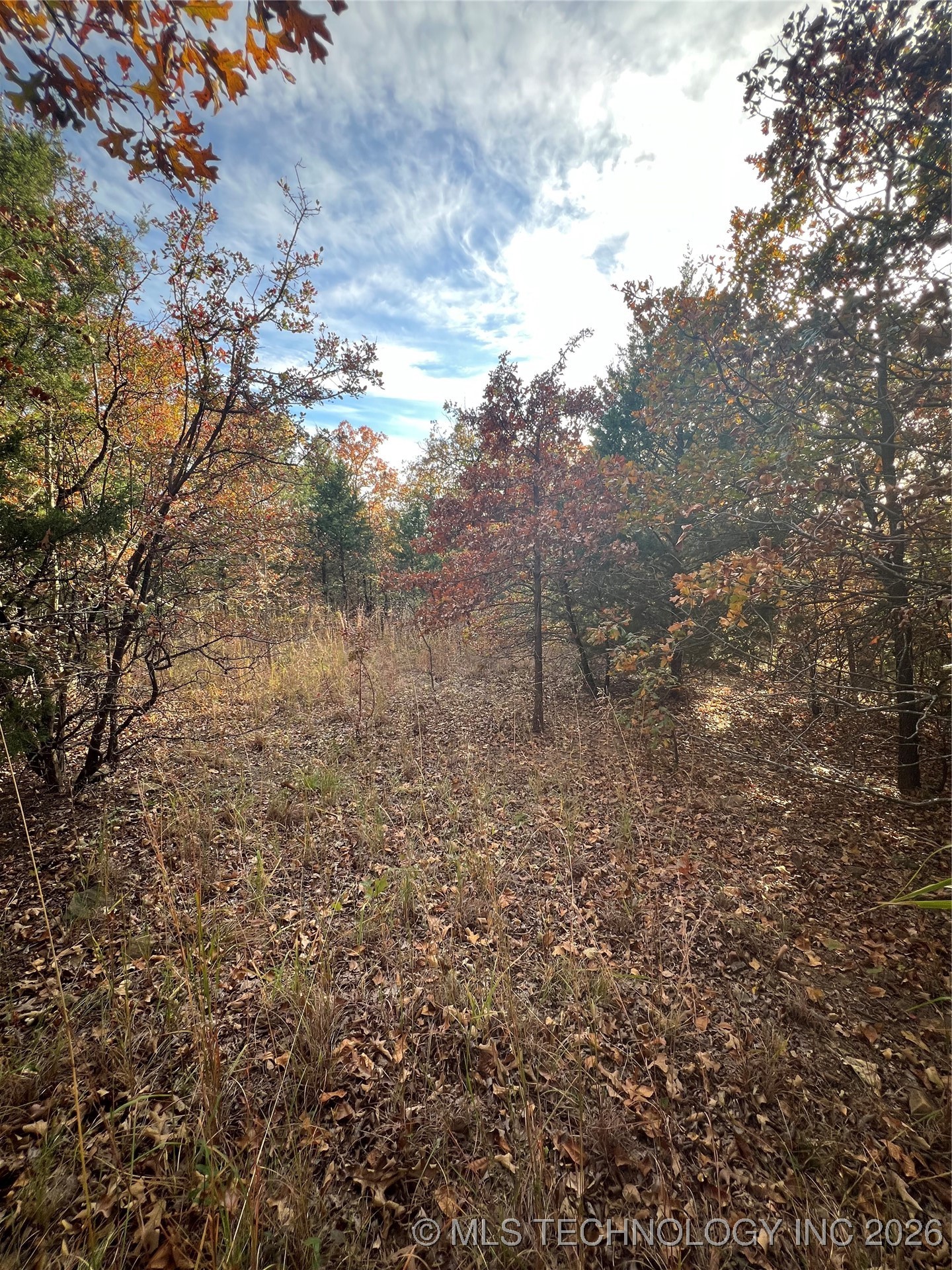 0029 Ruisdael Road Property Photo 10