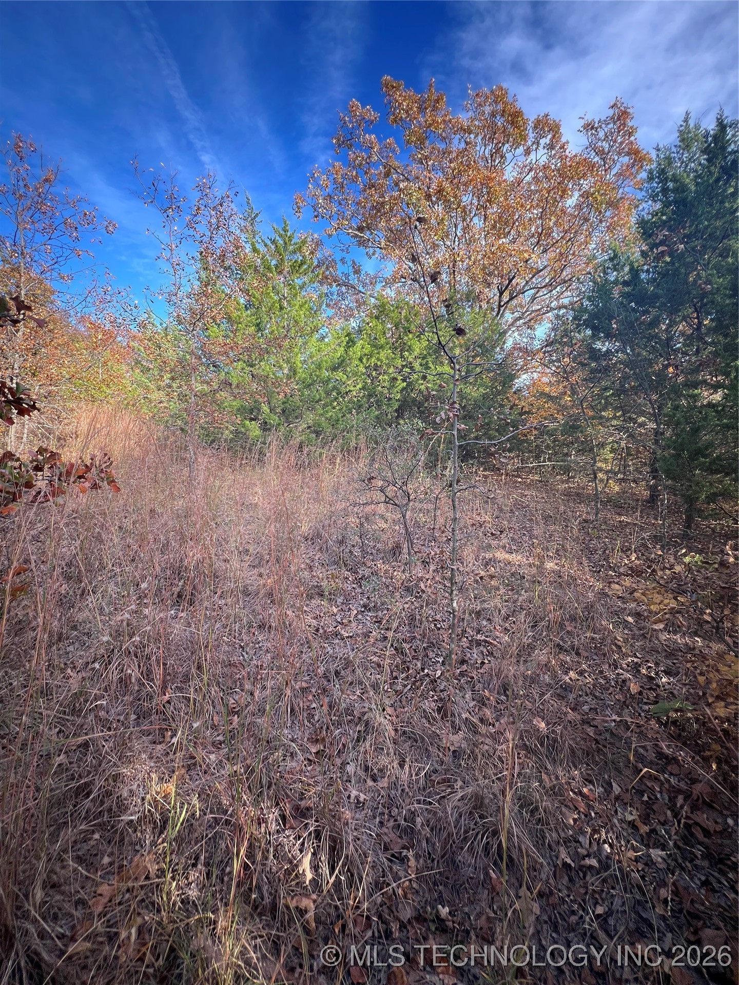 0029 Ruisdael Road Property Photo 11