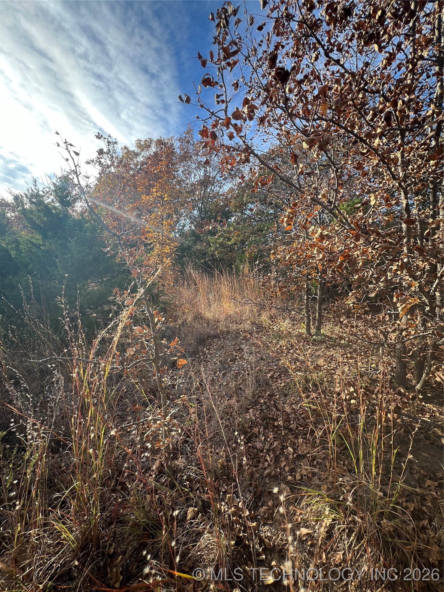 0029 Ruisdael Road Property Photo 12