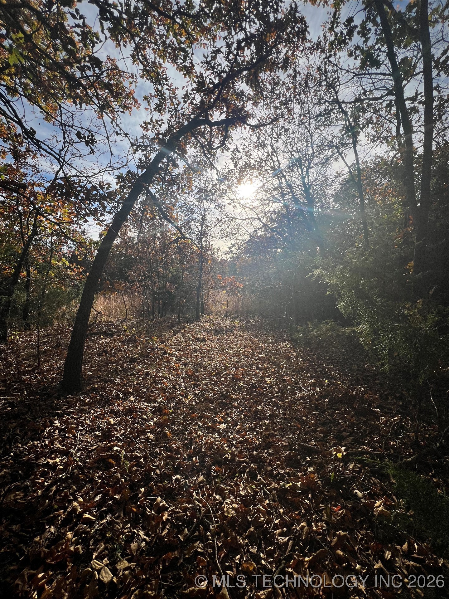 0029 Ruisdael Road Property Photo 13