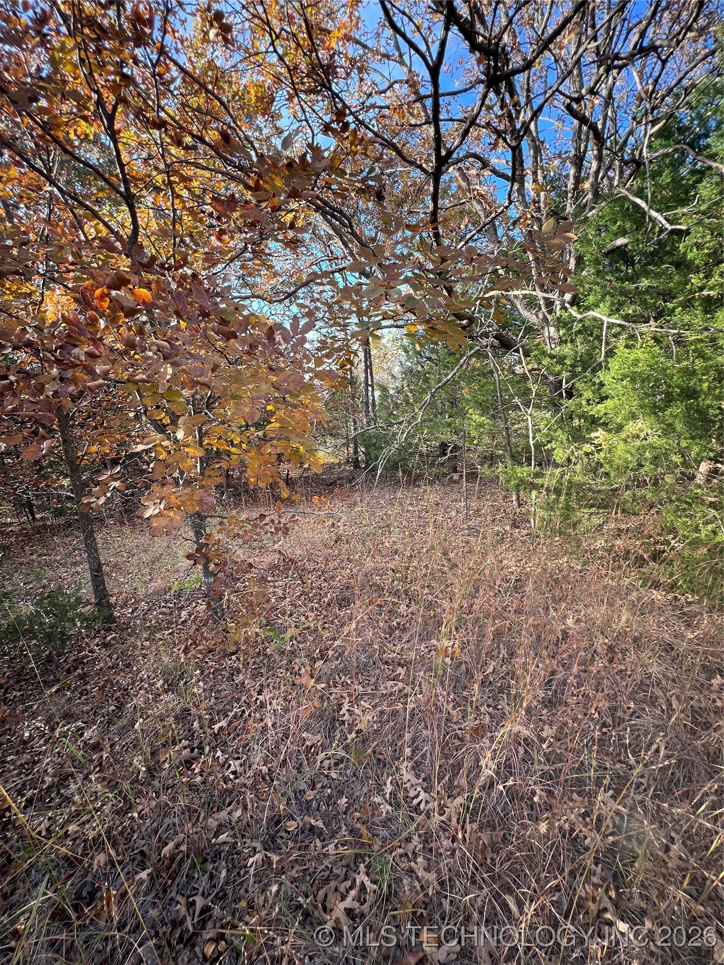 0029 Ruisdael Road Property Photo 14