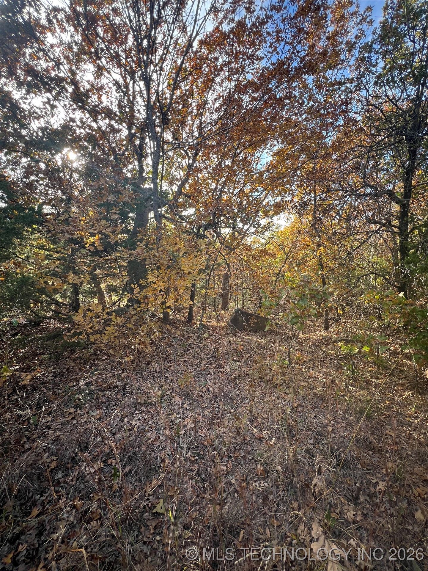 0029 Ruisdael Road Property Photo 15