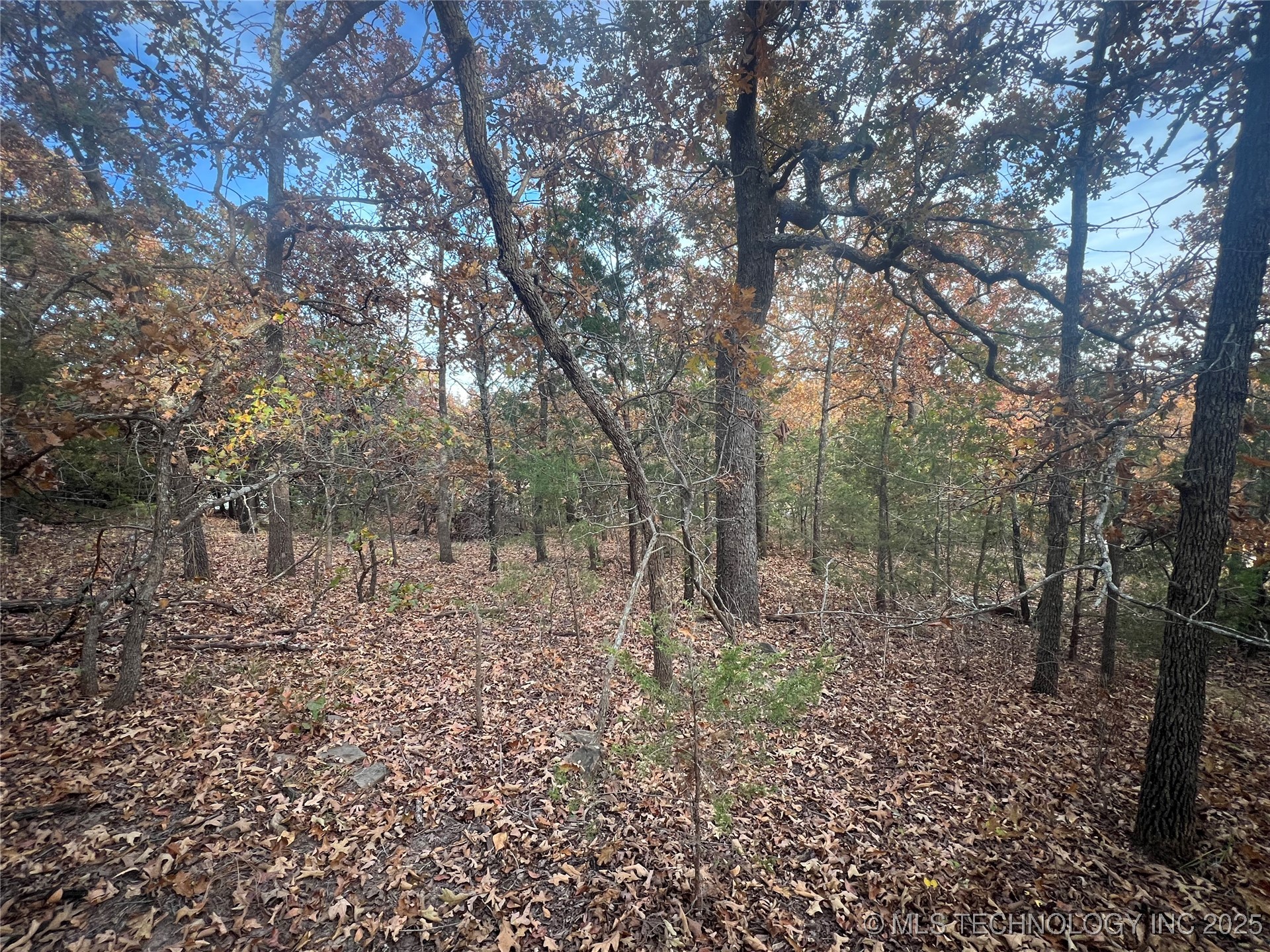 0047 Van Gogh Road Property Photo 2