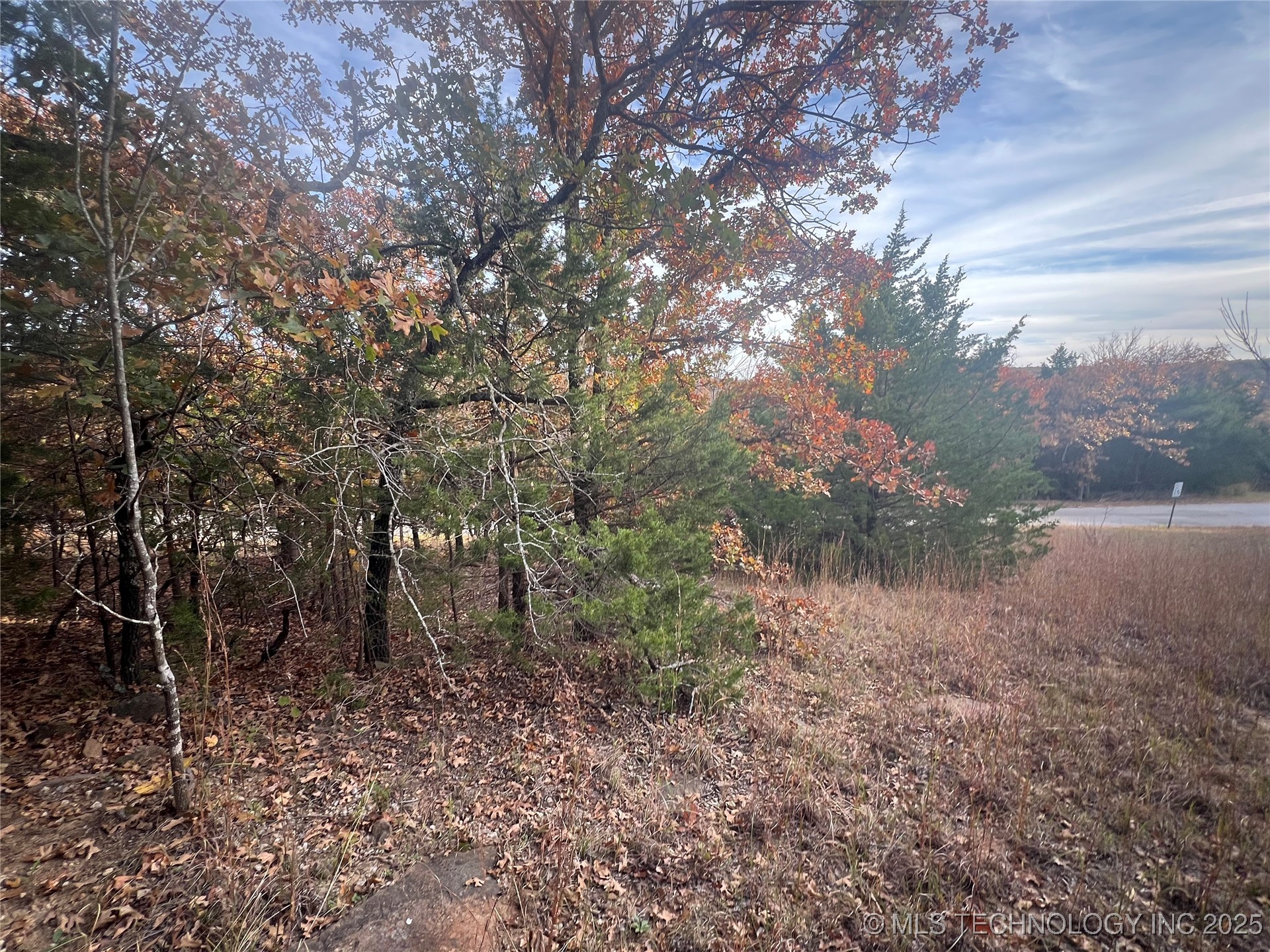 0047 Van Gogh Road Property Photo 4