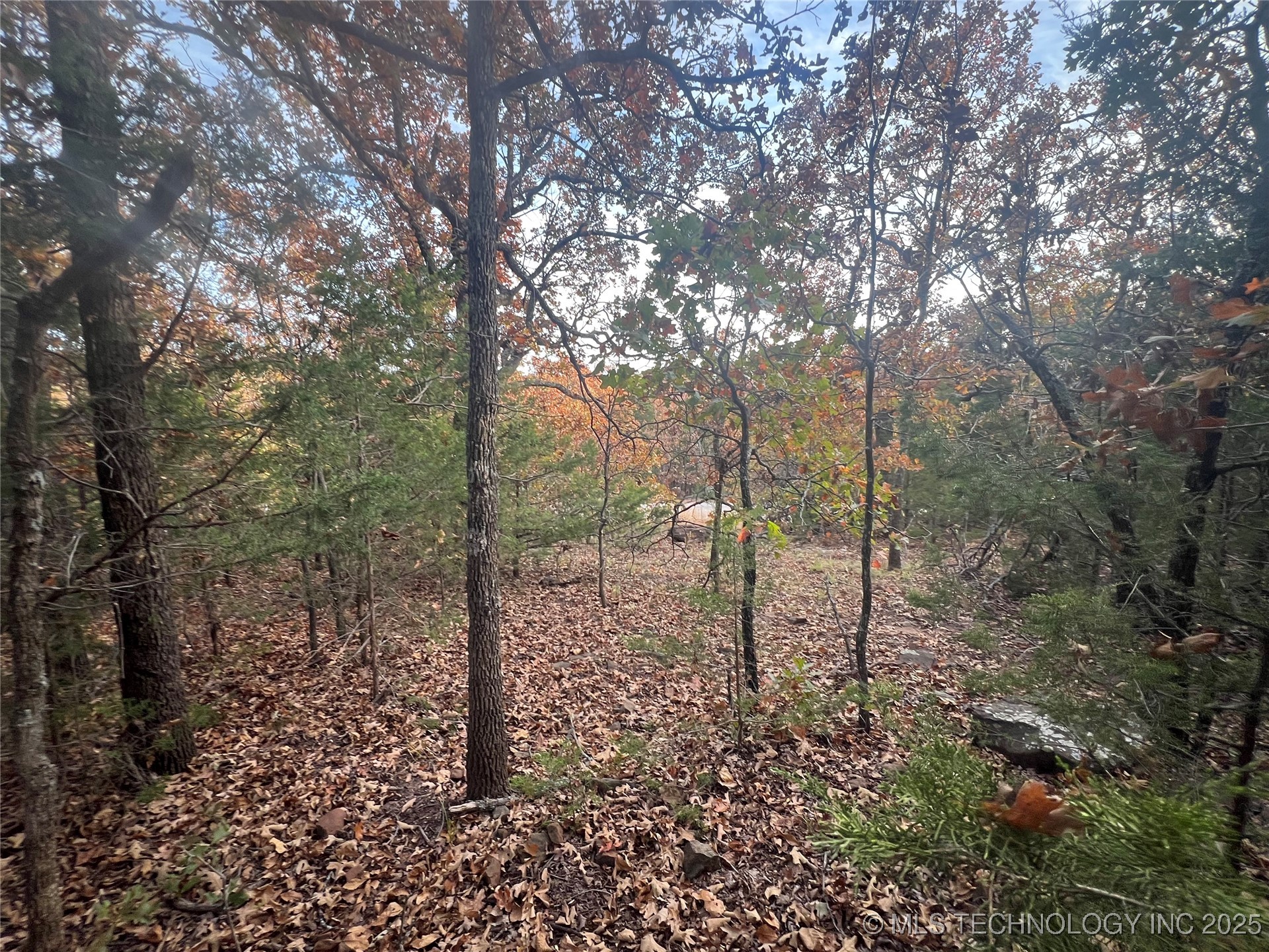 0047 Van Gogh Road Property Photo 5