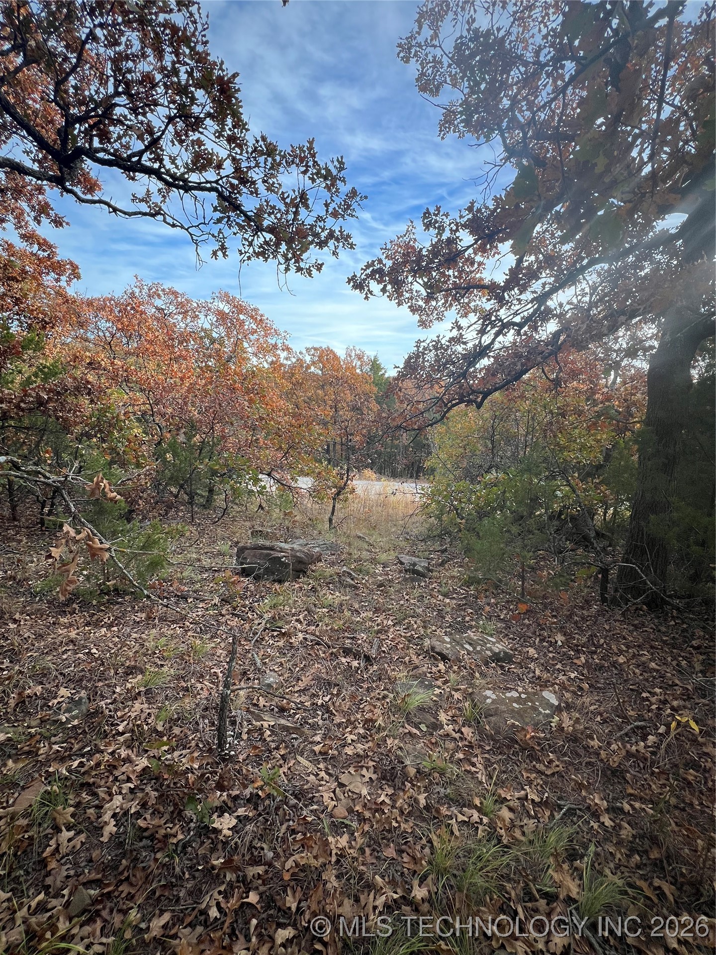 0047 Van Gogh Road Property Photo 6