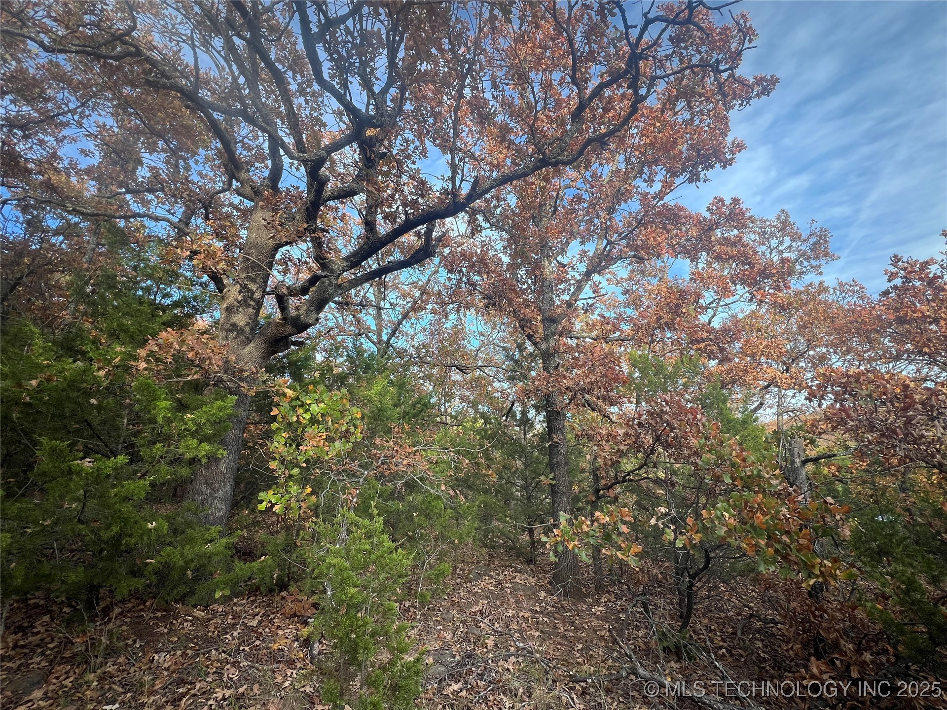 0047 Van Gogh Road Property Photo 7