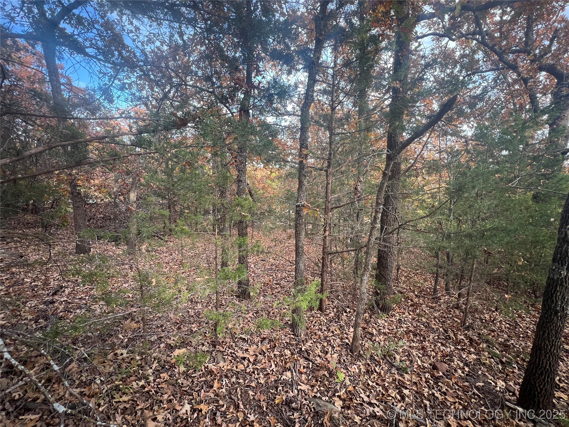 0047 Van Gogh Road Property Photo 8