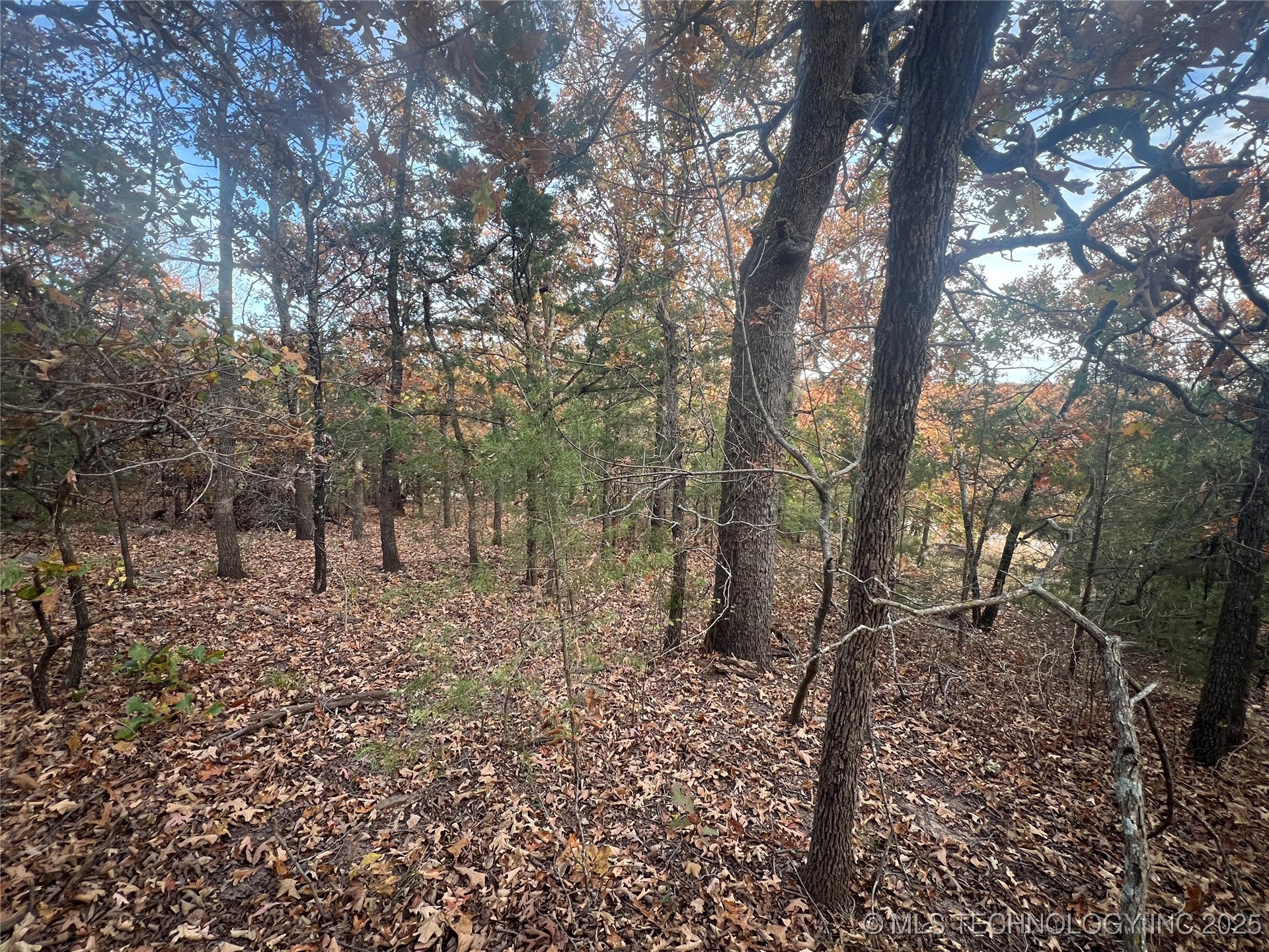 0047 Van Gogh Road Property Photo 9