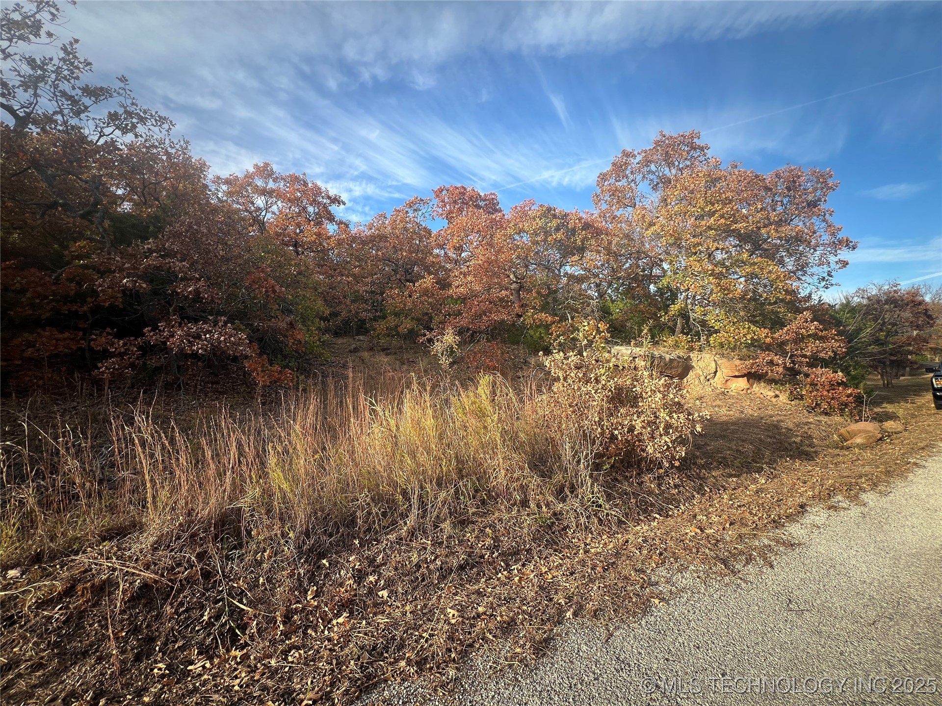 0047 Van Gogh Road Property Photo 11