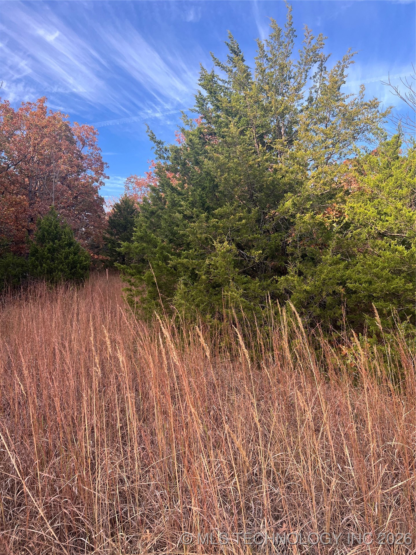 0047 Van Gogh Road Property Photo 12