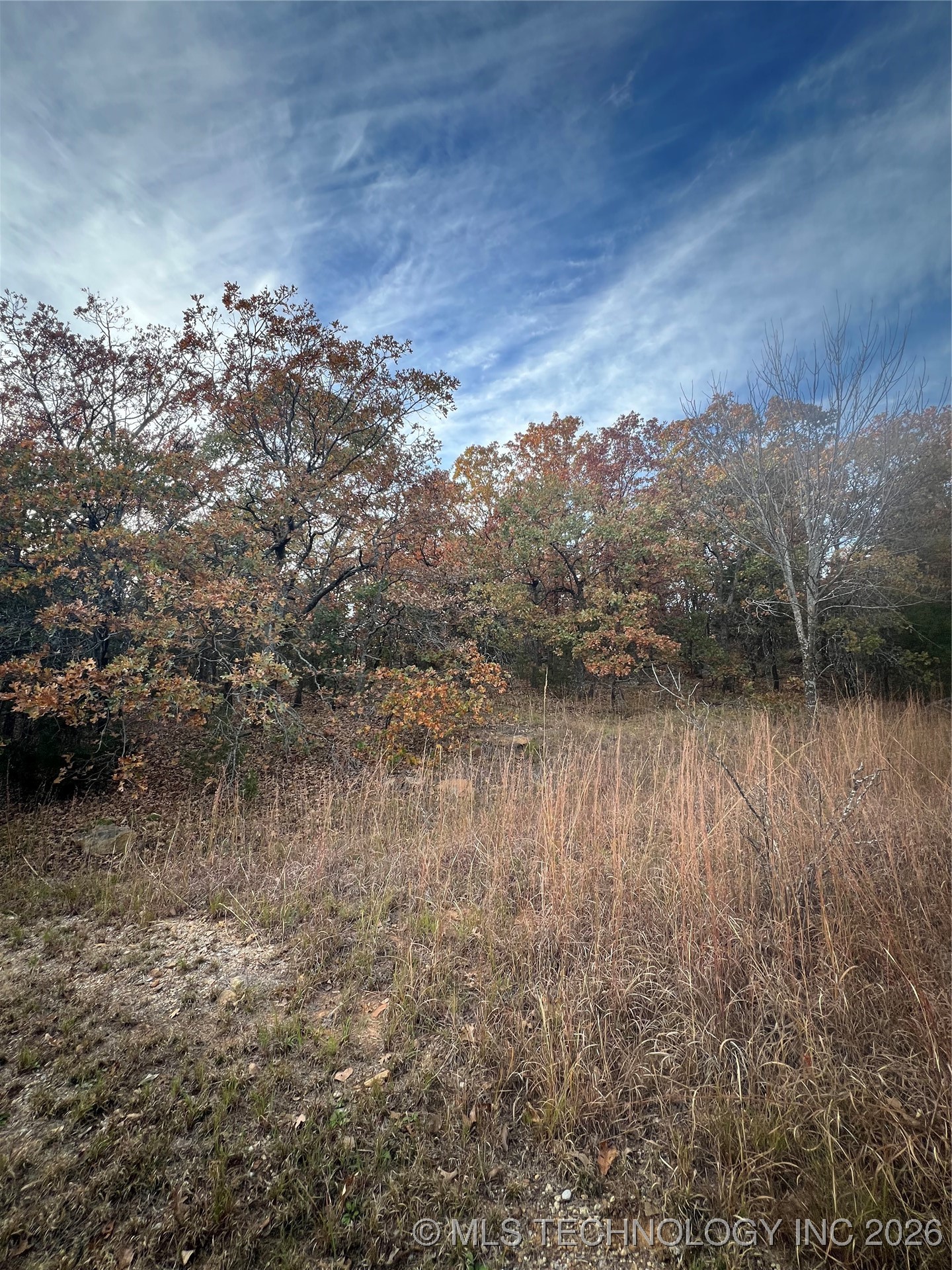 0023 Van Gogh Road Property Photo 5