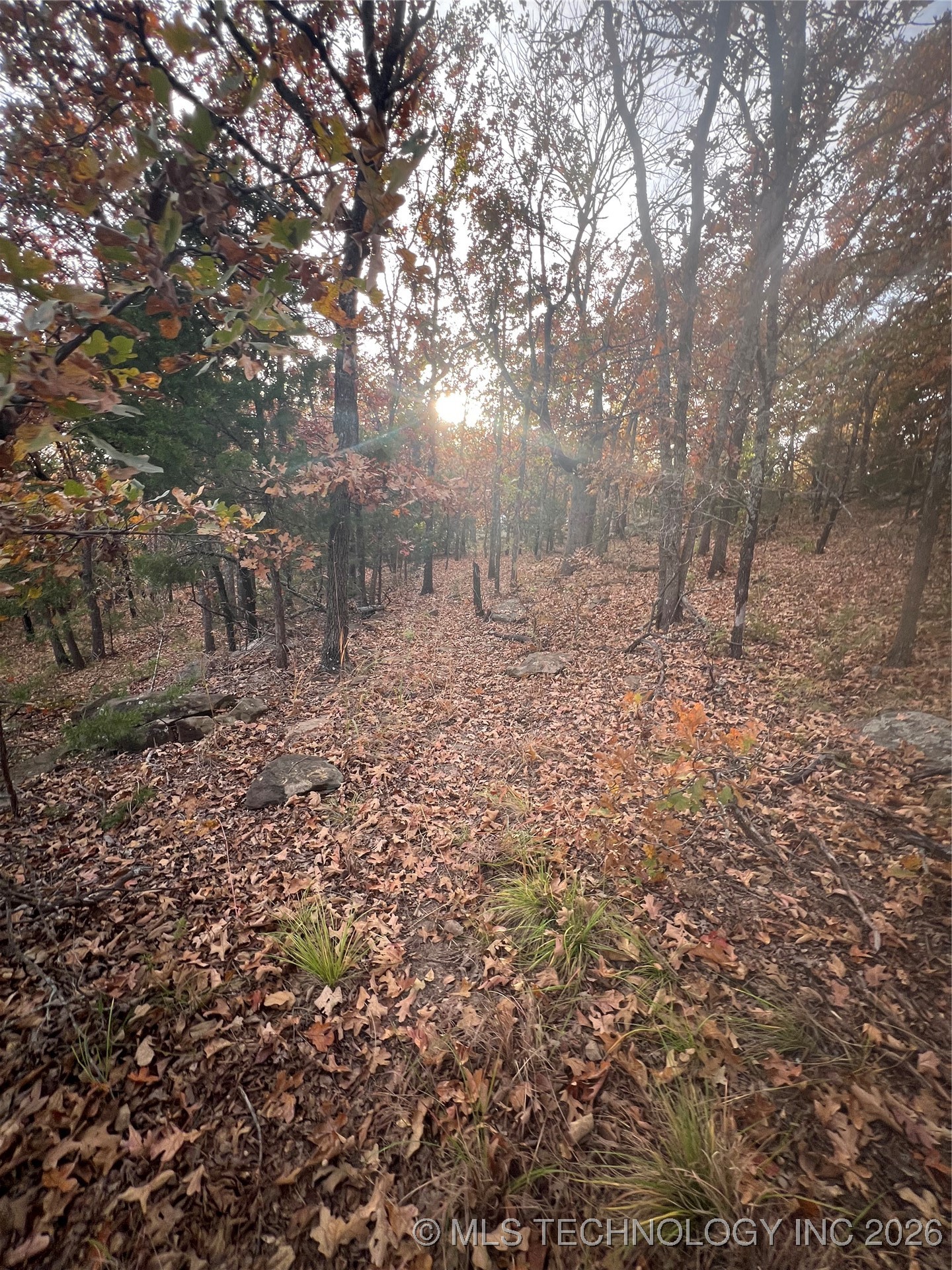 0023 Van Gogh Road Property Photo 6