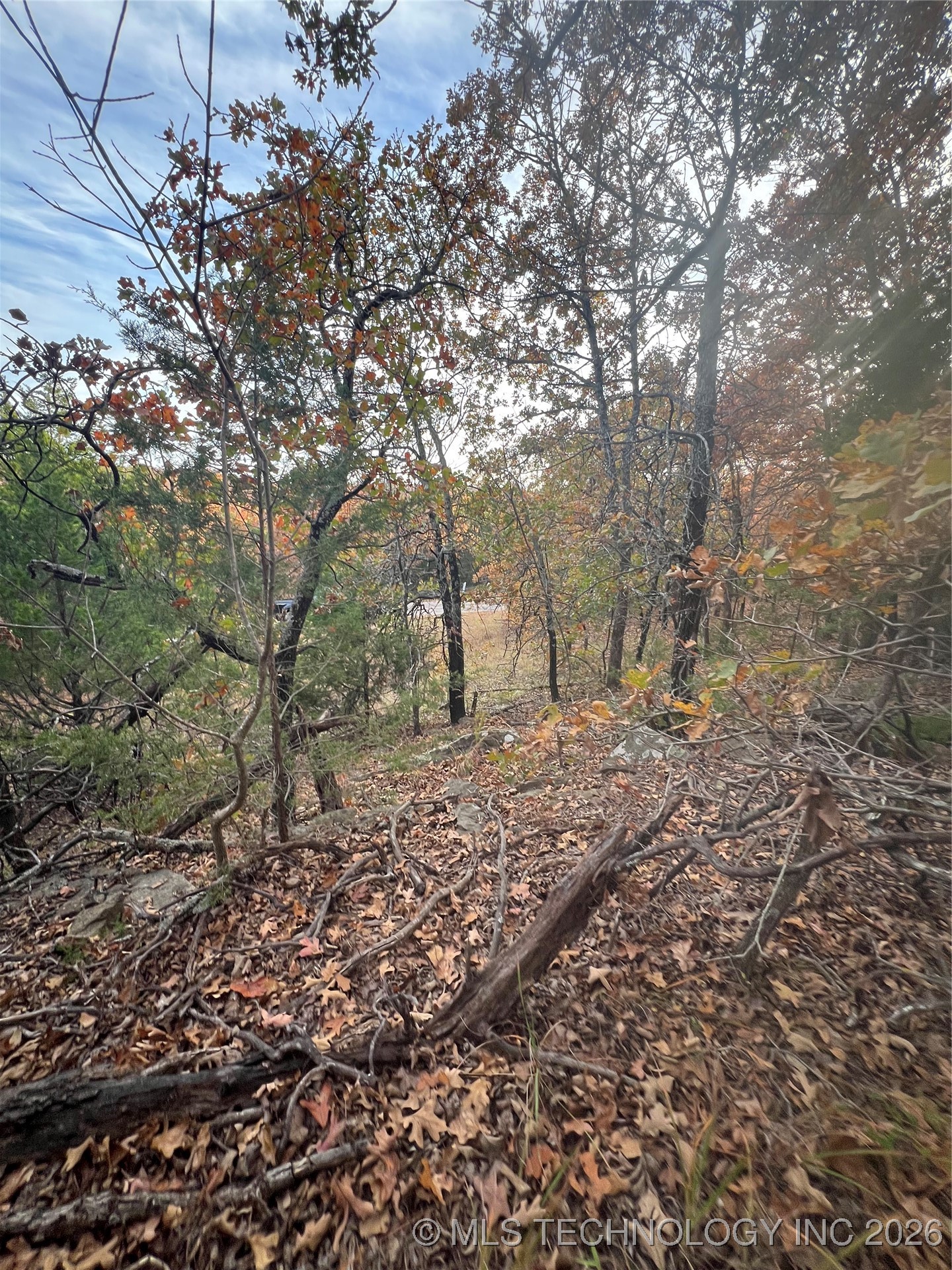 0023 Van Gogh Road Property Photo 7