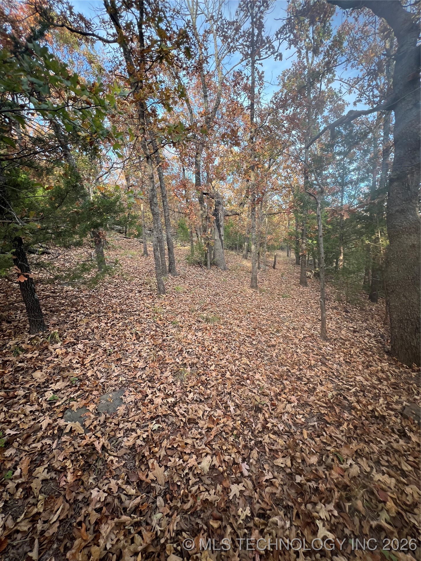 0023 Van Gogh Road Property Photo 8