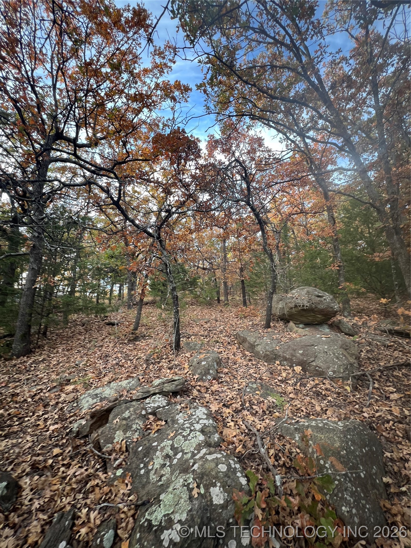 0023 Van Gogh Road Property Photo 9