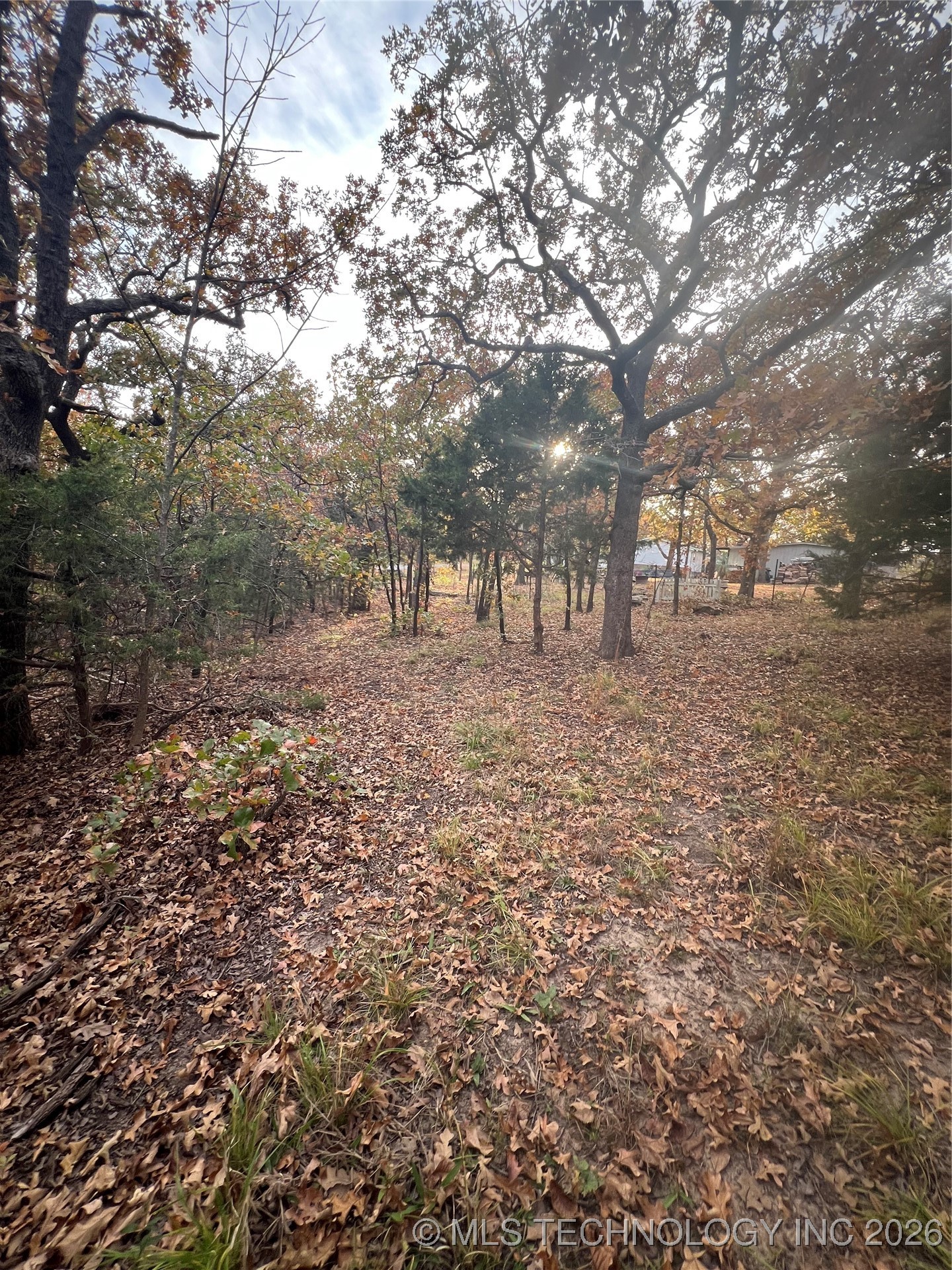 0023 Van Gogh Road Property Photo 10