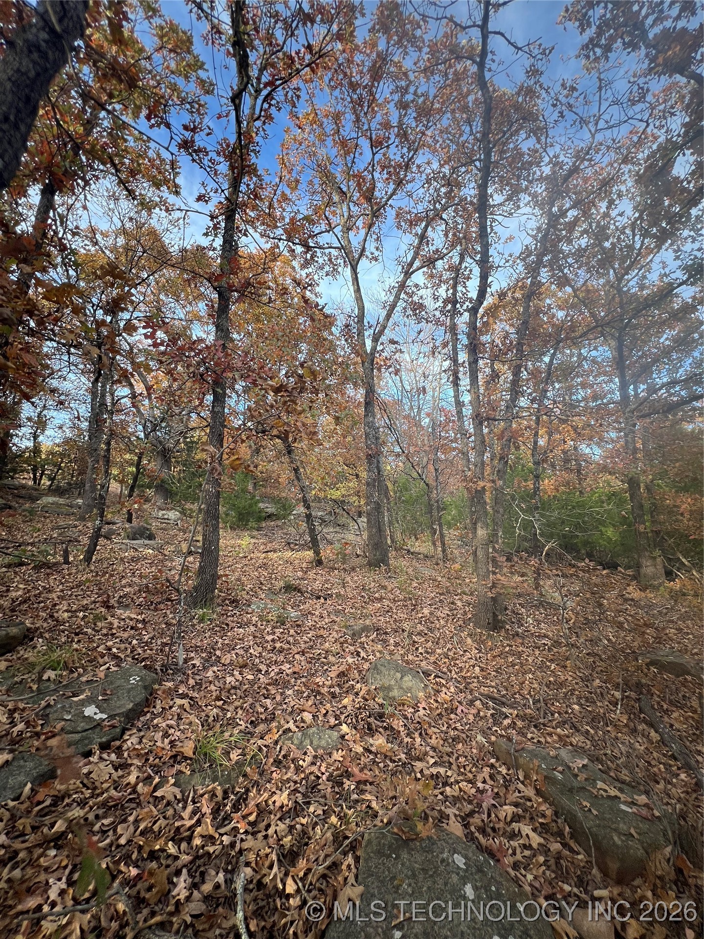 0023 Van Gogh Road Property Photo 11