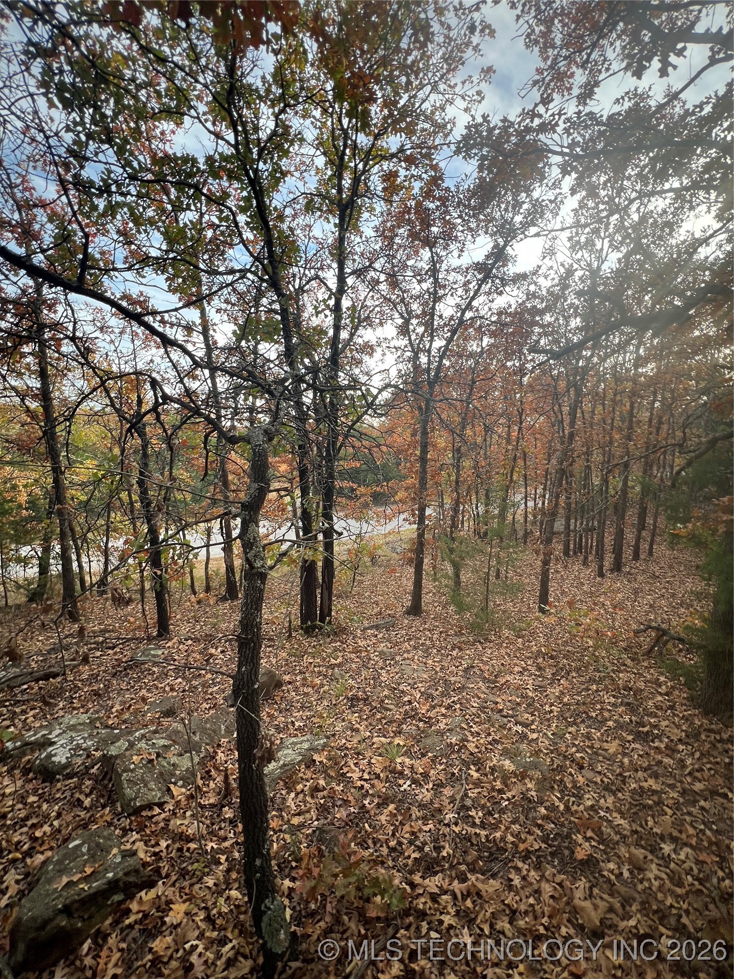 0023 Van Gogh Road Property Photo 12