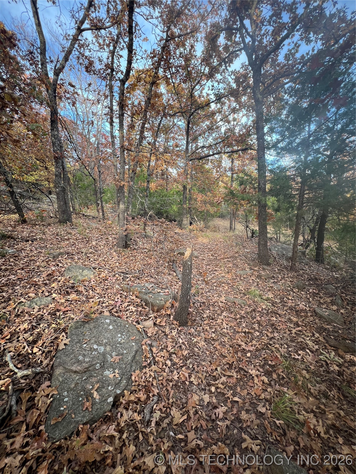 0023 Van Gogh Road Property Photo 13