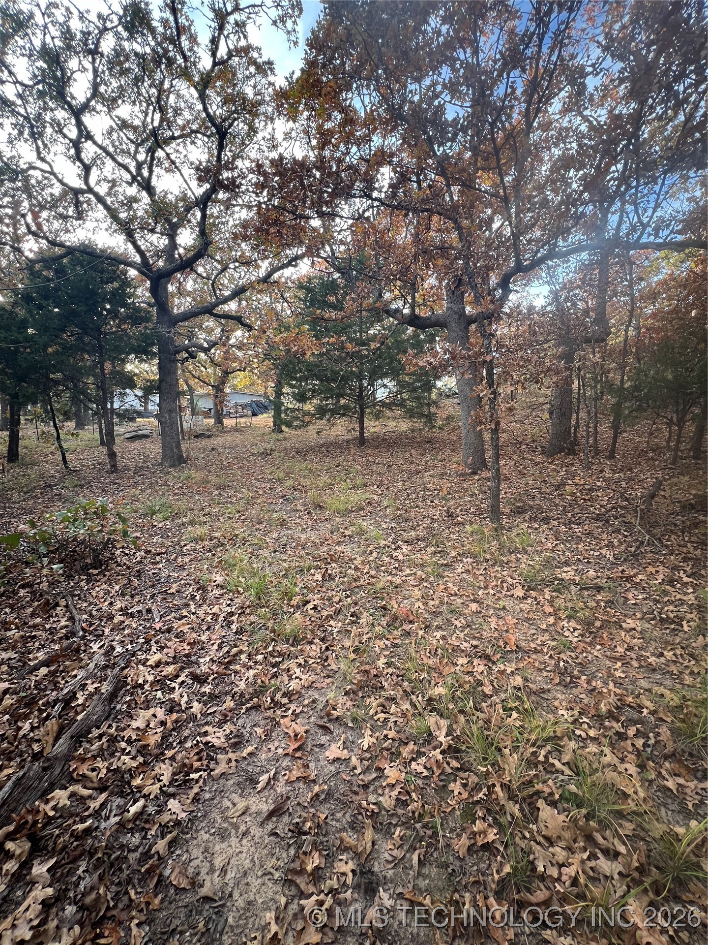 0023 Van Gogh Road Property Photo 14