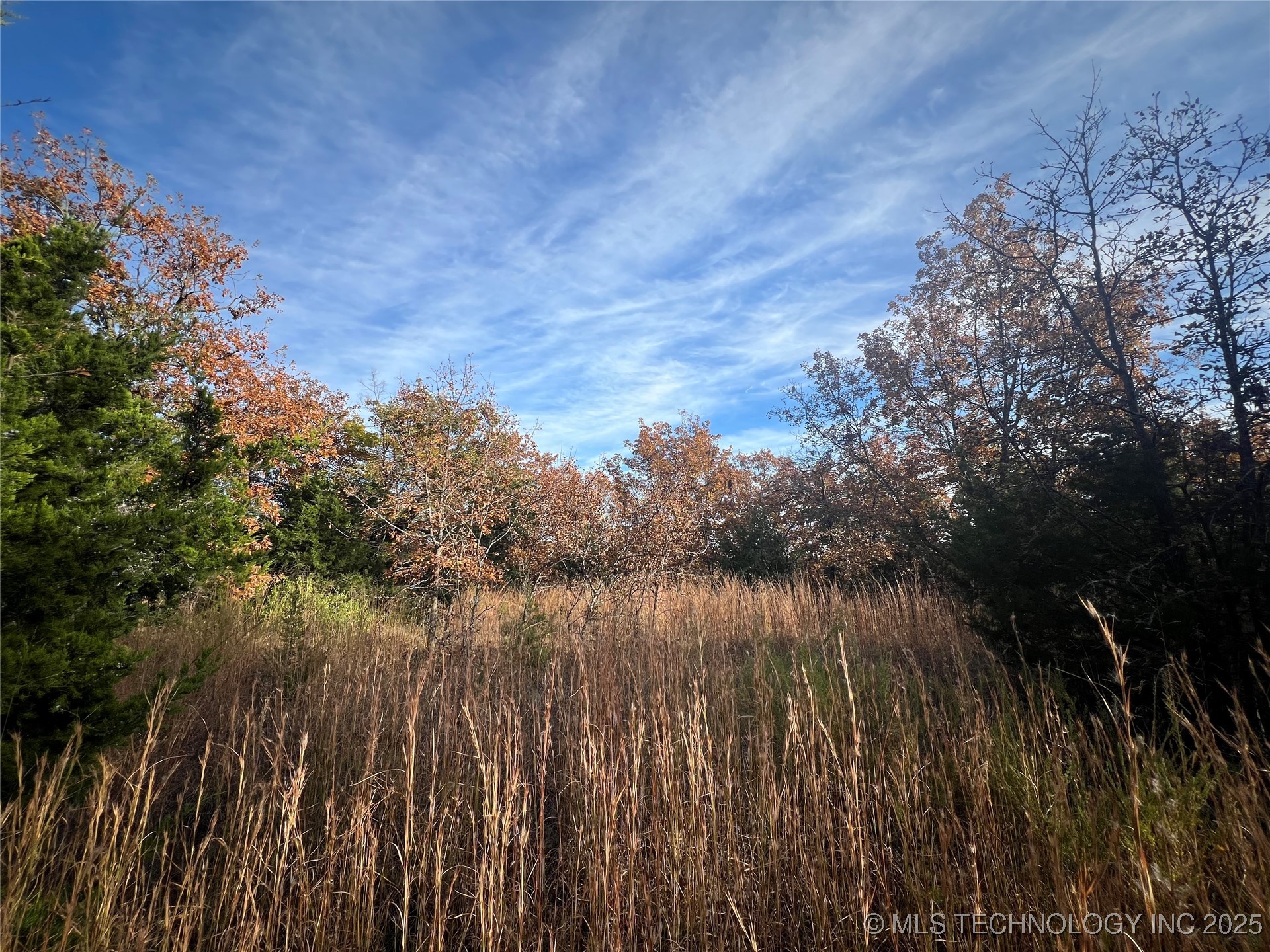 0030 Ruisdael Road Property Photo 4