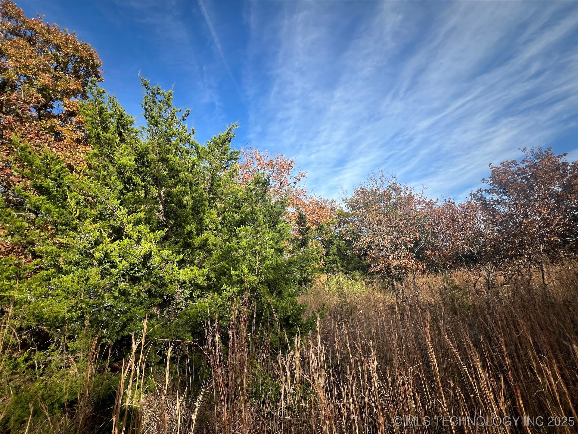 0030 Ruisdael Road Property Photo 5