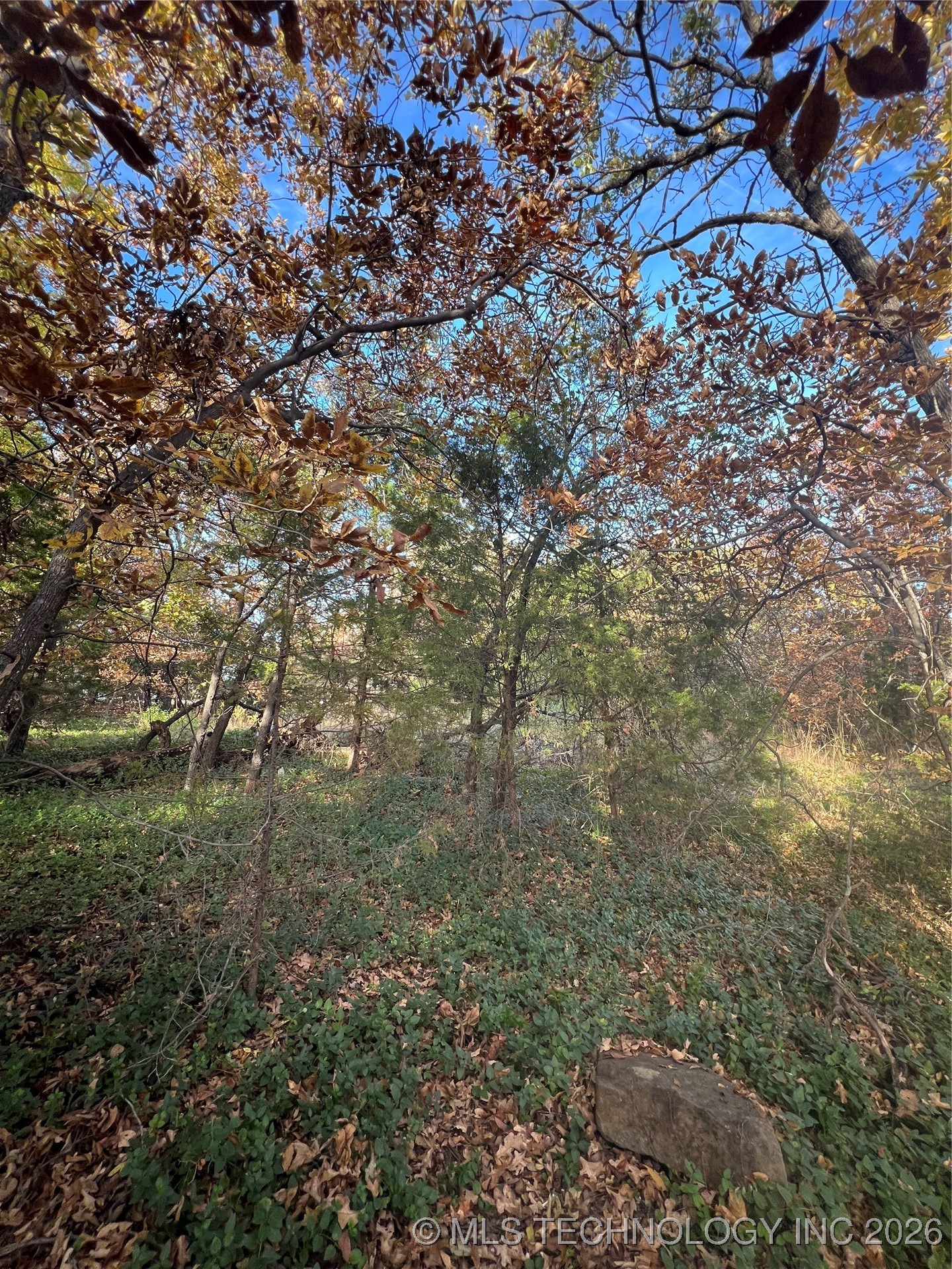 0030 Ruisdael Road Property Photo 7