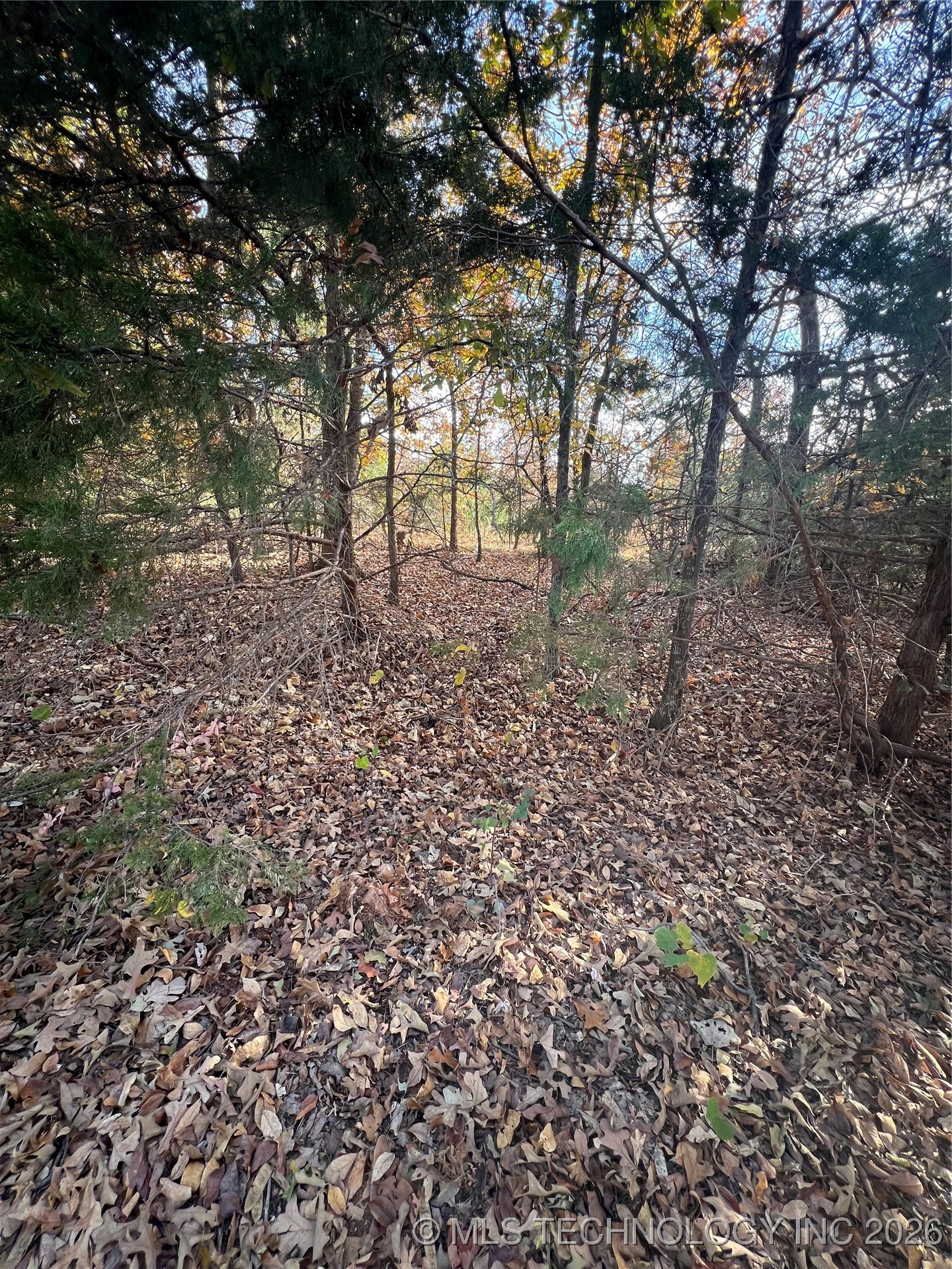 0030 Ruisdael Road Property Photo 8