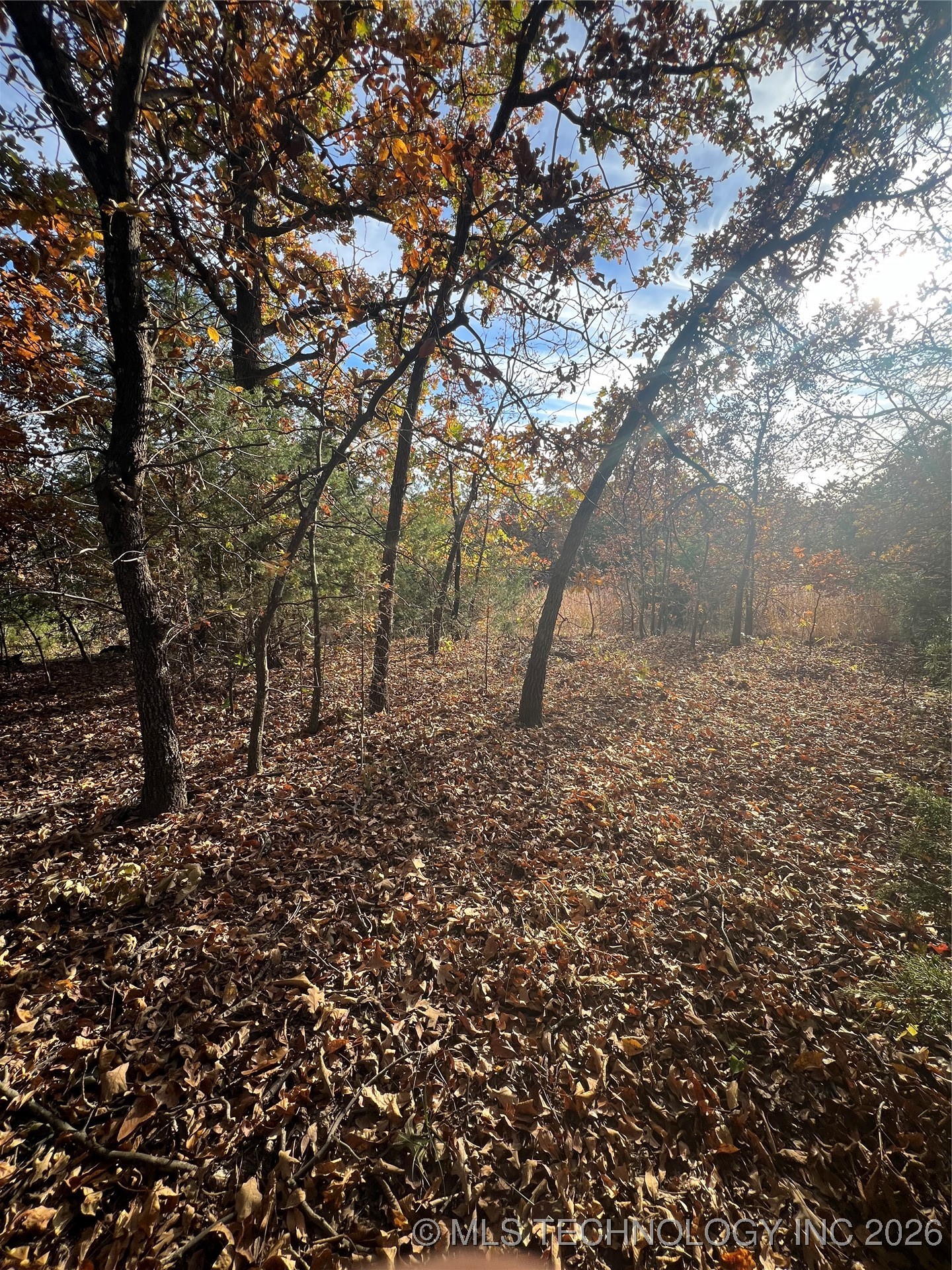 0030 Ruisdael Road Property Photo 9