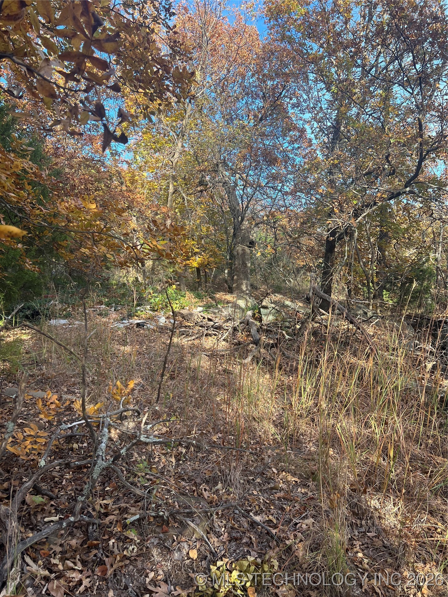 0030 Ruisdael Road Property Photo 10