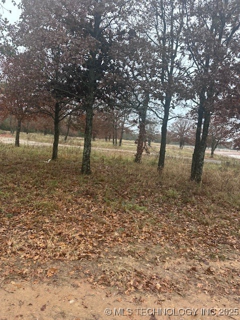 6915 Sims Road Property Photo 16