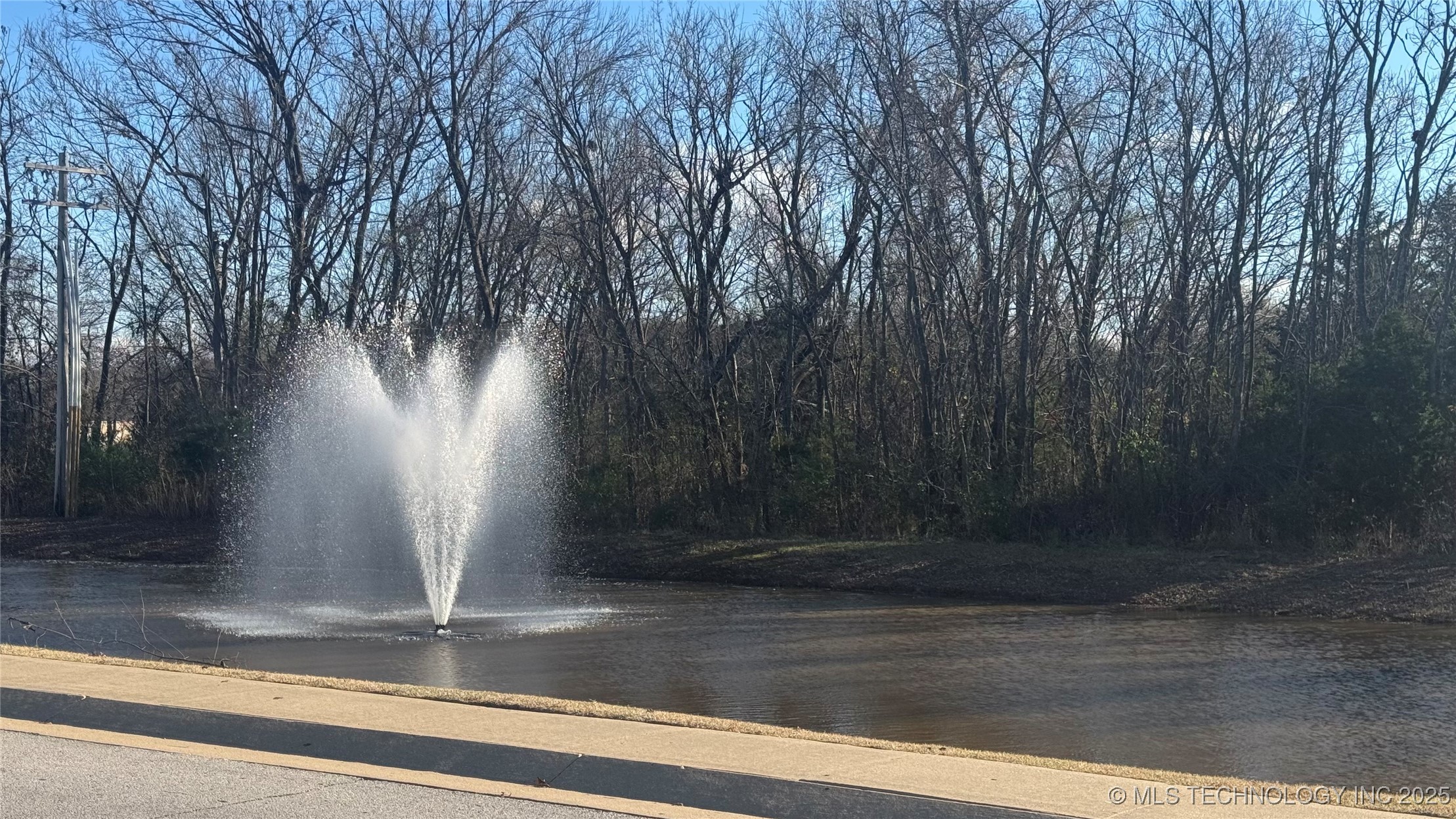 1515 Emily Circle Property Photo 43