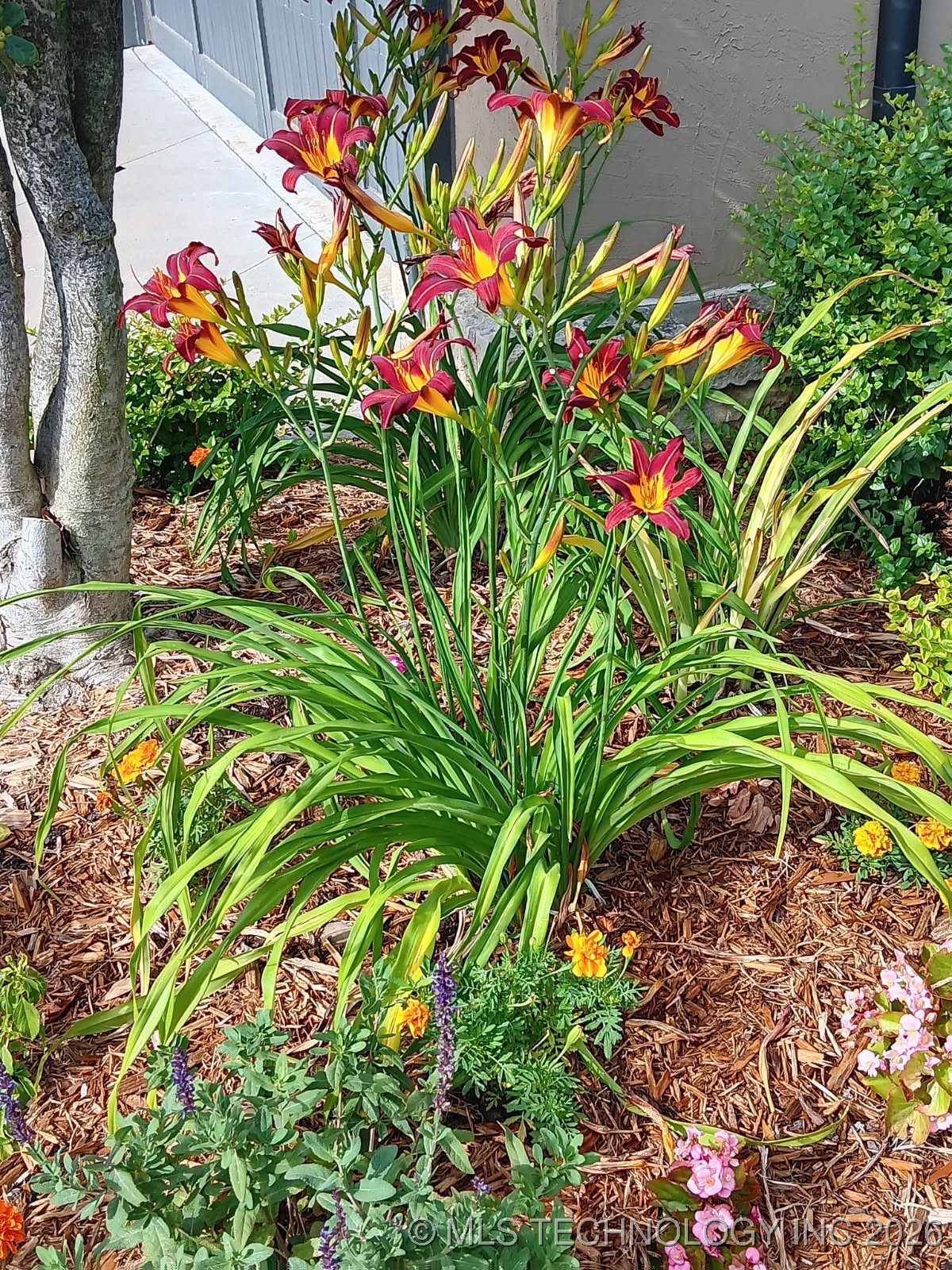 8434 S Phoenix Place Property Photo 64