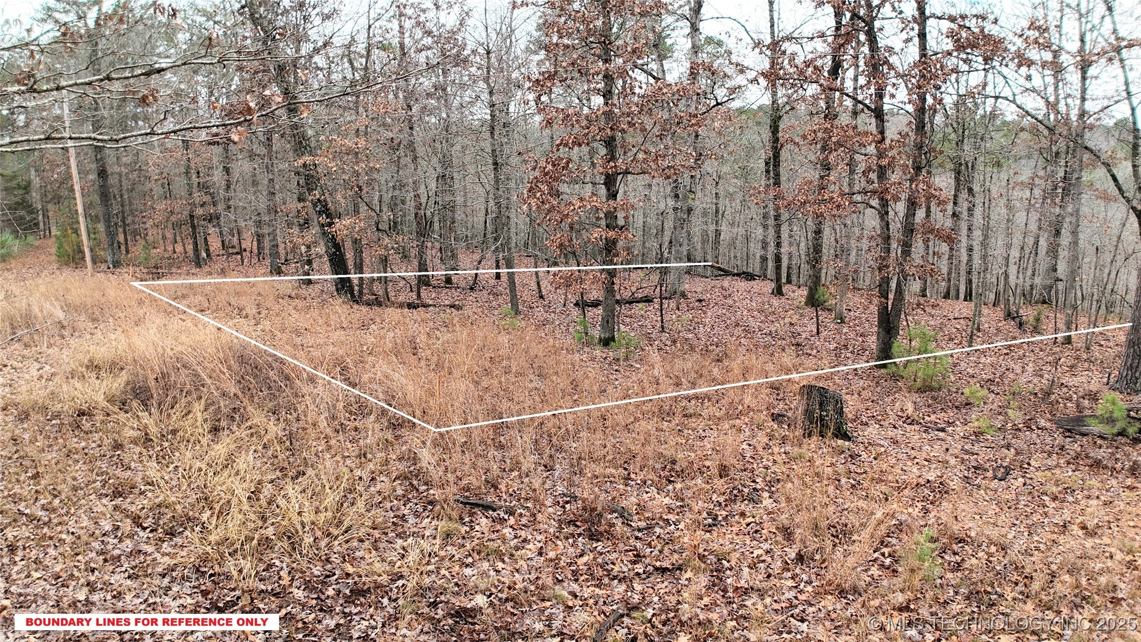 1536 Cherokee Ridge Trail Property Photo 2