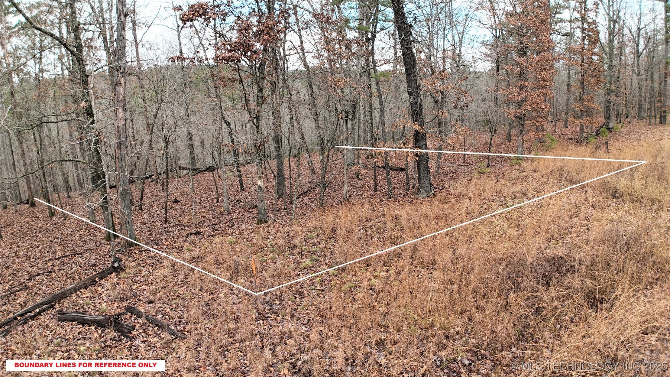 1536 Cherokee Ridge Trail Property Photo 3