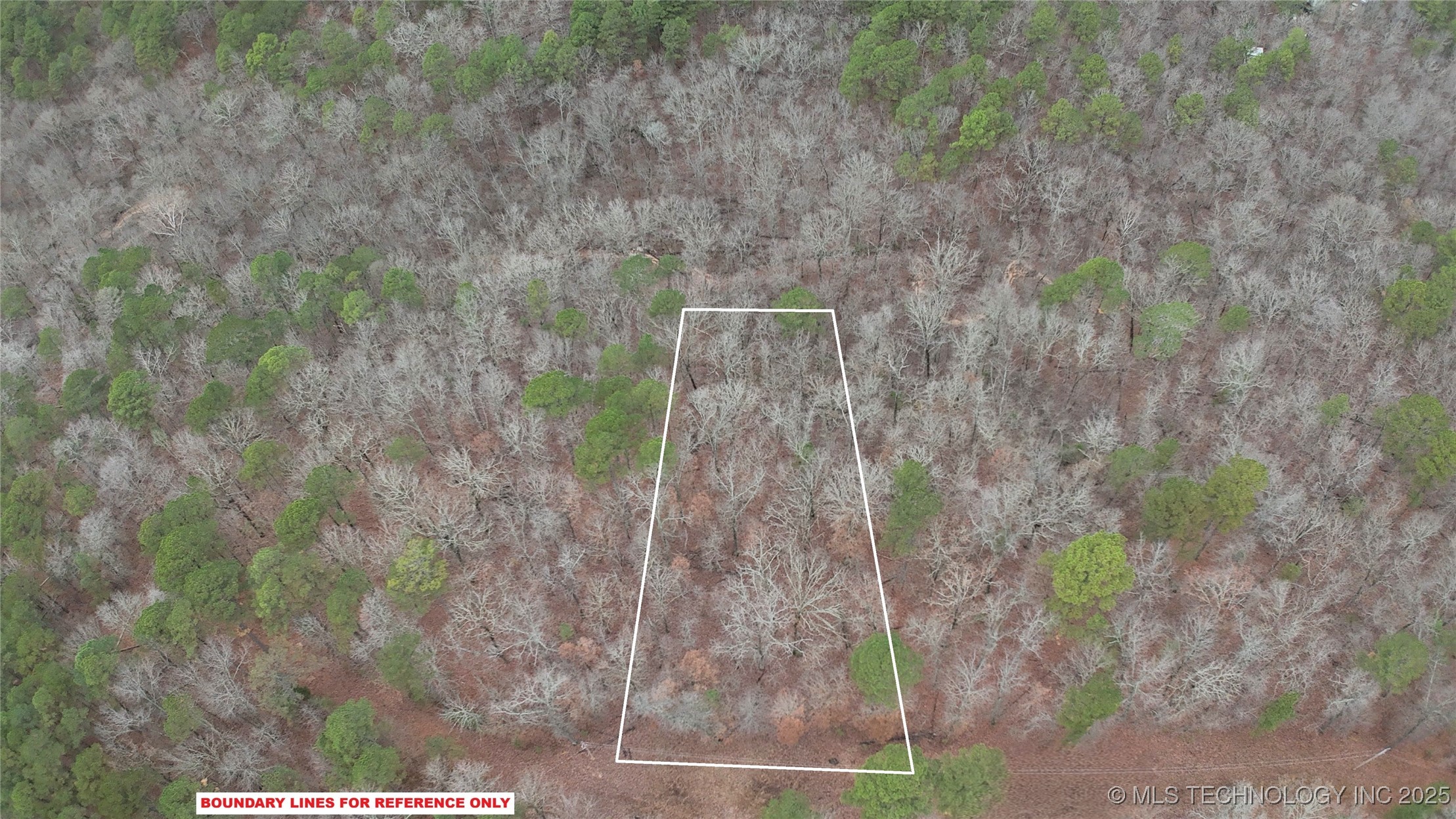 1536 Cherokee Ridge Trail Property Photo 6