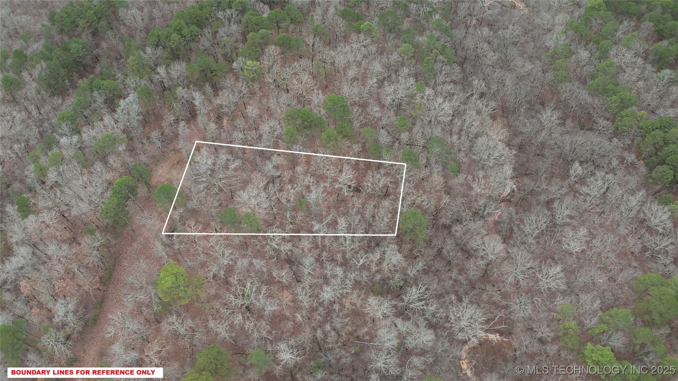 1536 Cherokee Ridge Trail Property Photo 7