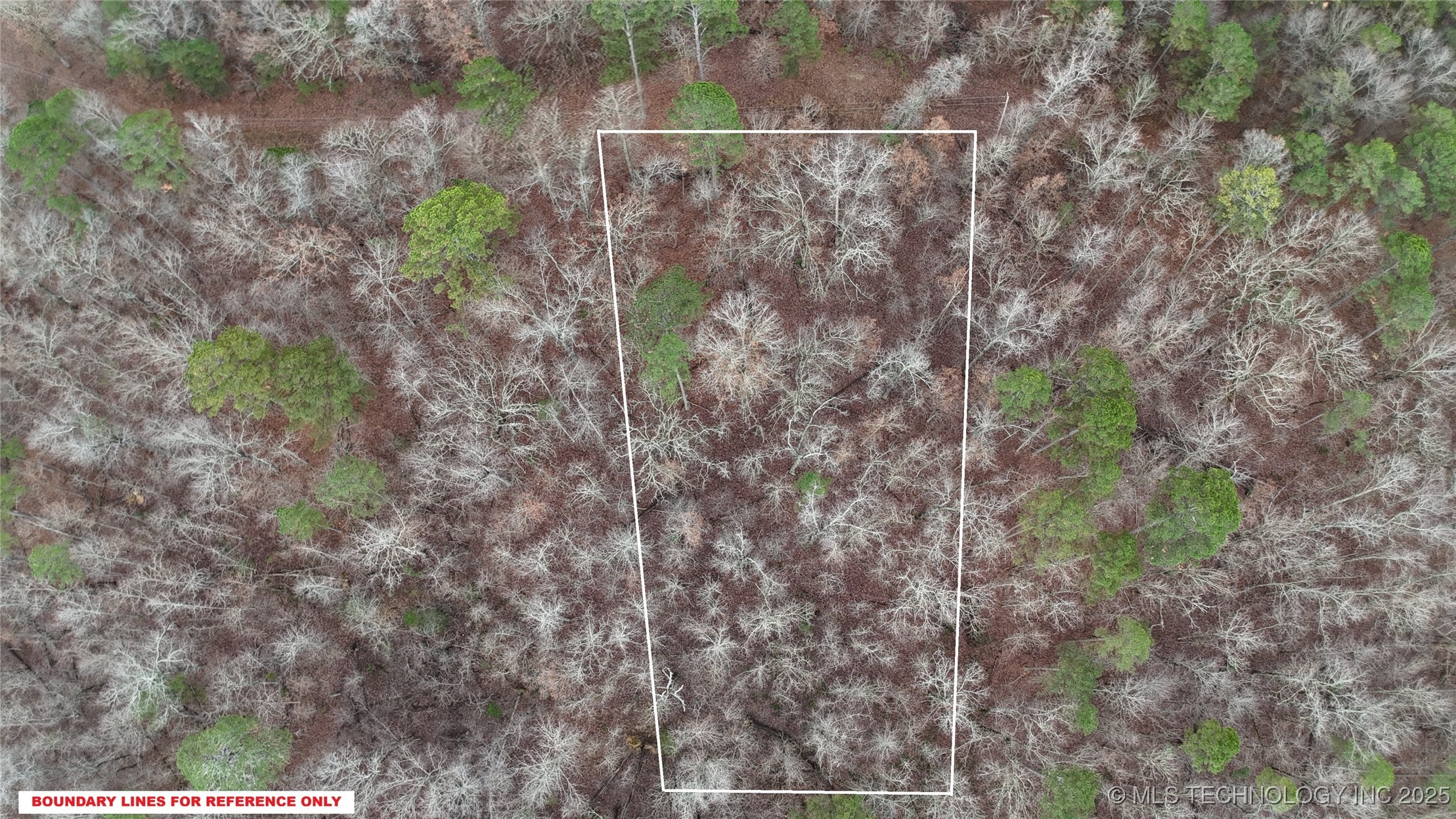 1536 Cherokee Ridge Trail Property Photo 8