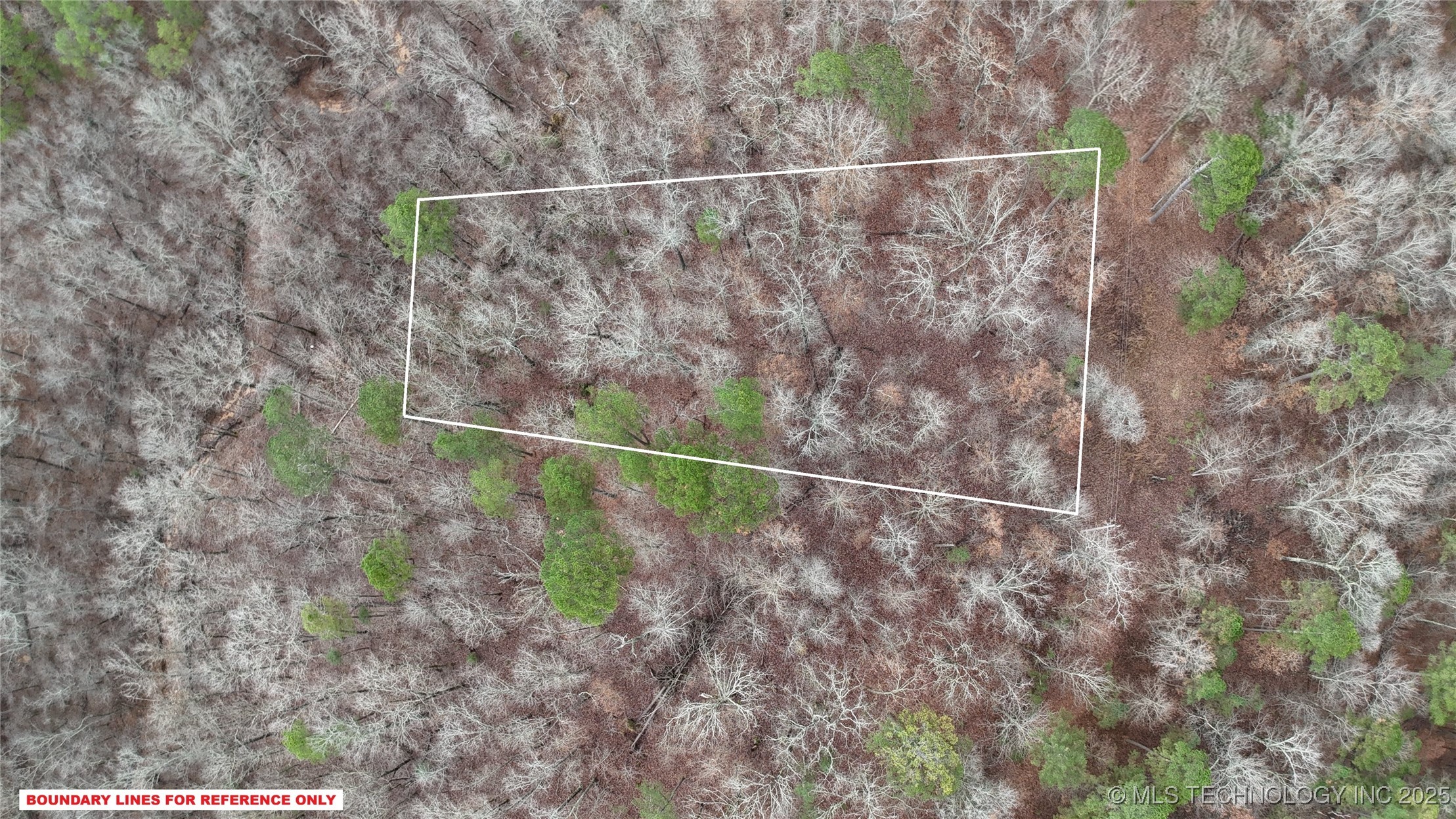 1536 Cherokee Ridge Trail Property Photo 9