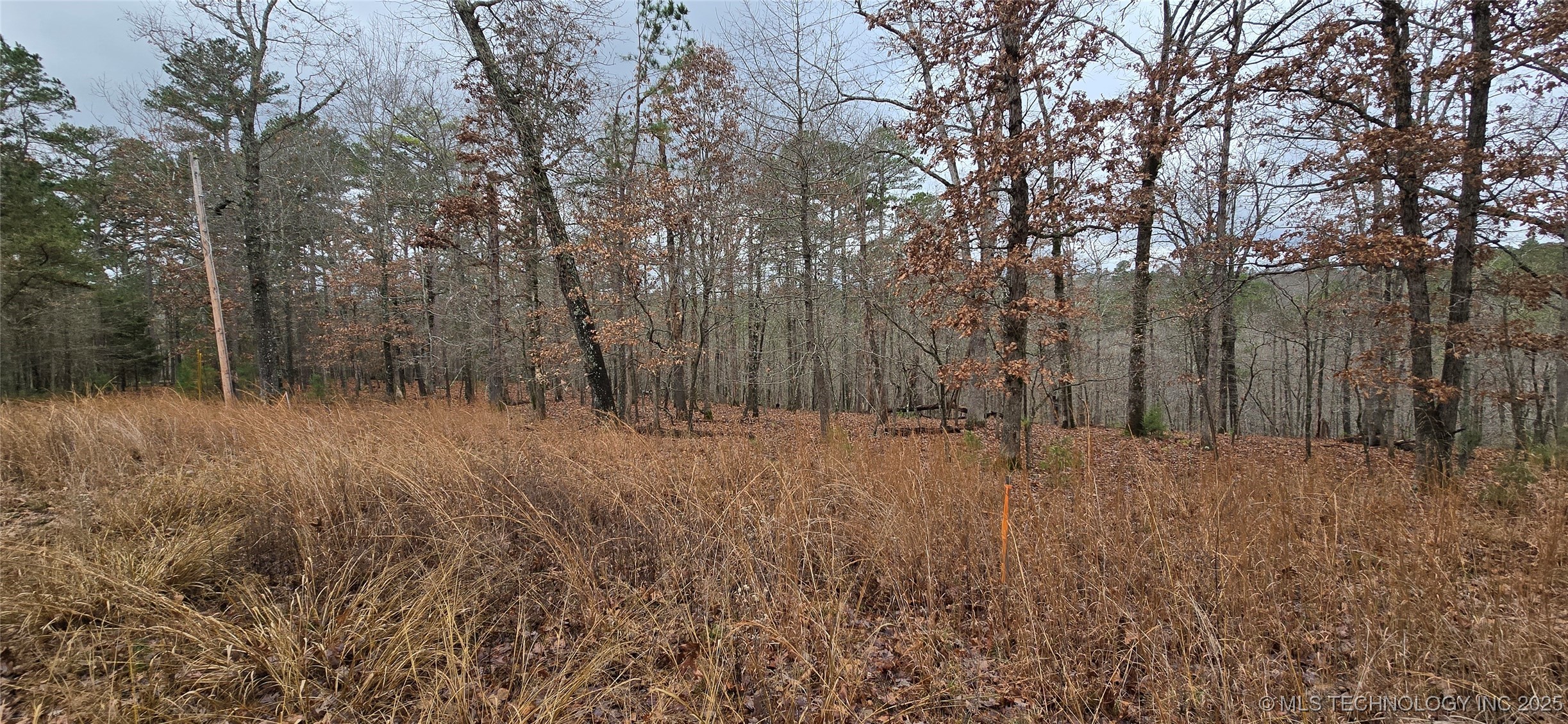 1536 Cherokee Ridge Trail Property Photo 10