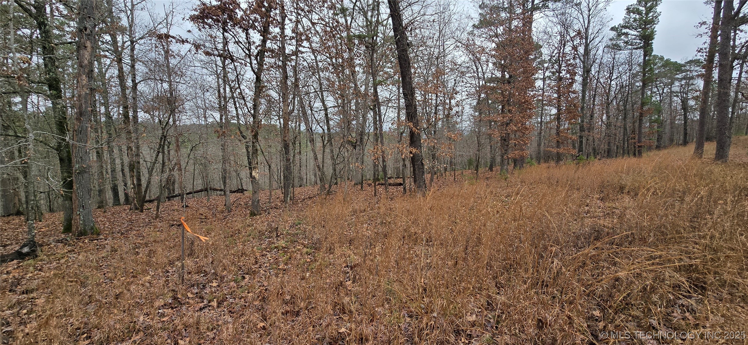 1536 Cherokee Ridge Trail Property Photo 11